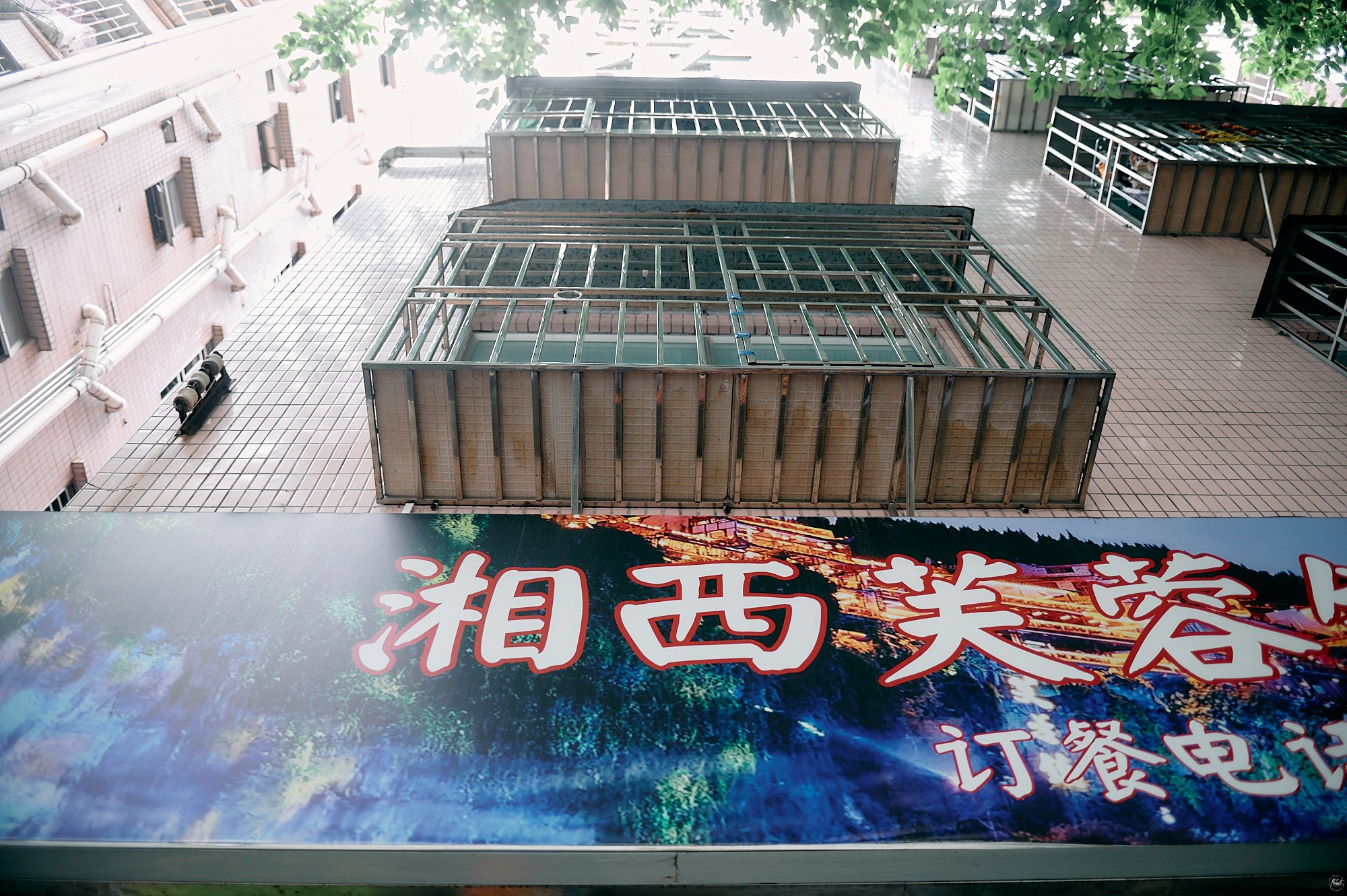 Шэньчжэнь, Китай. Март 2026. Фотографии отовсюду и обо всем
