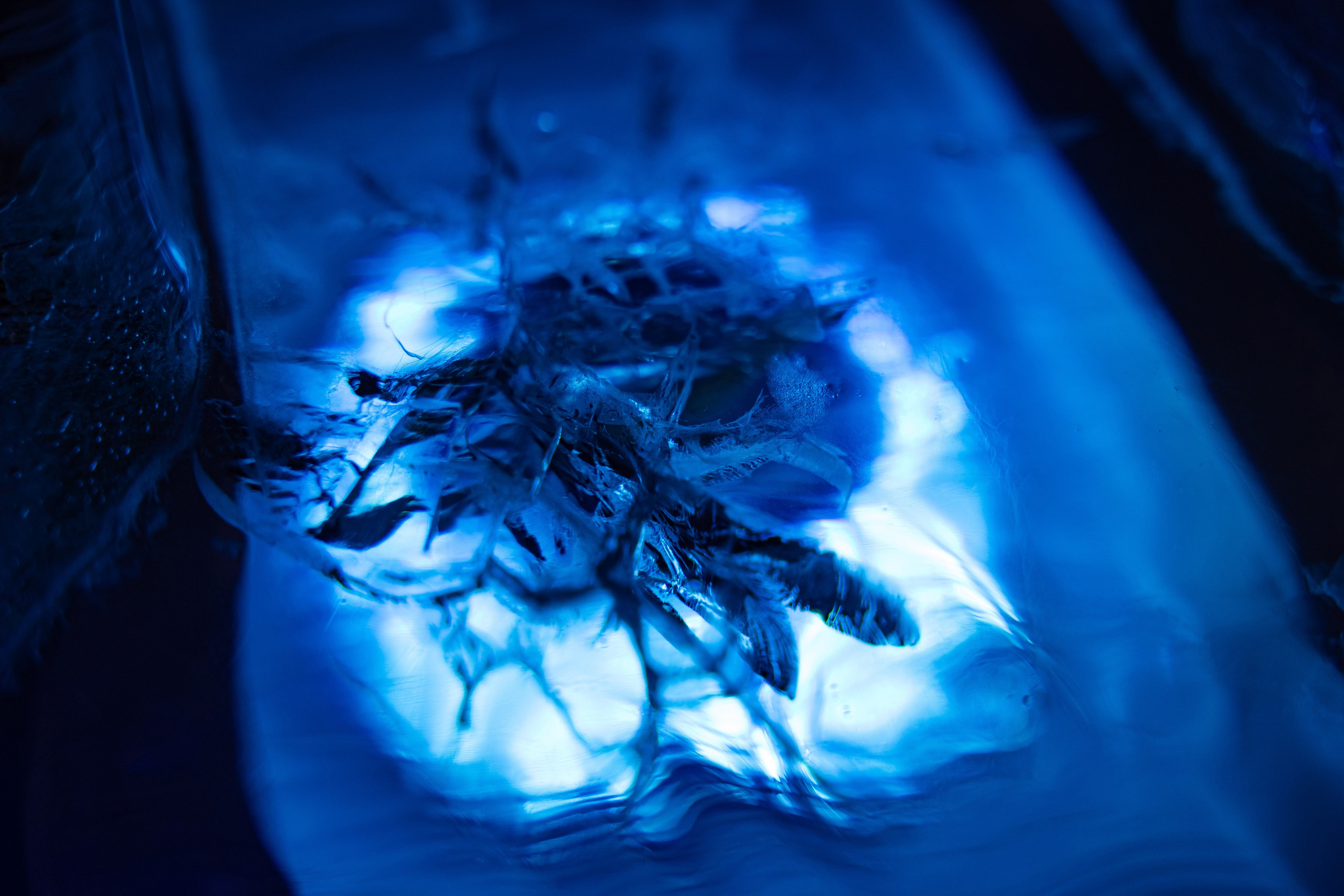 Презентация Infinix. Свадебный репортажный фотограф в Москве