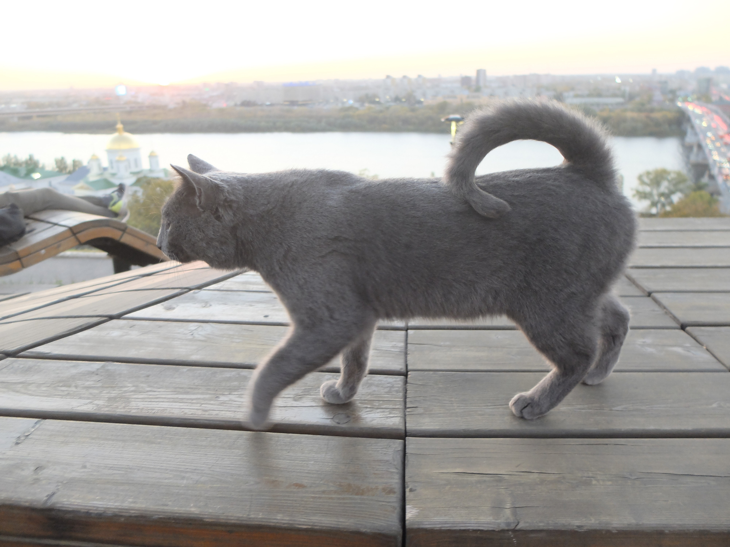 Нижний Новгород. Фотографъ Сергѣевъ. Поймать мгновеніе