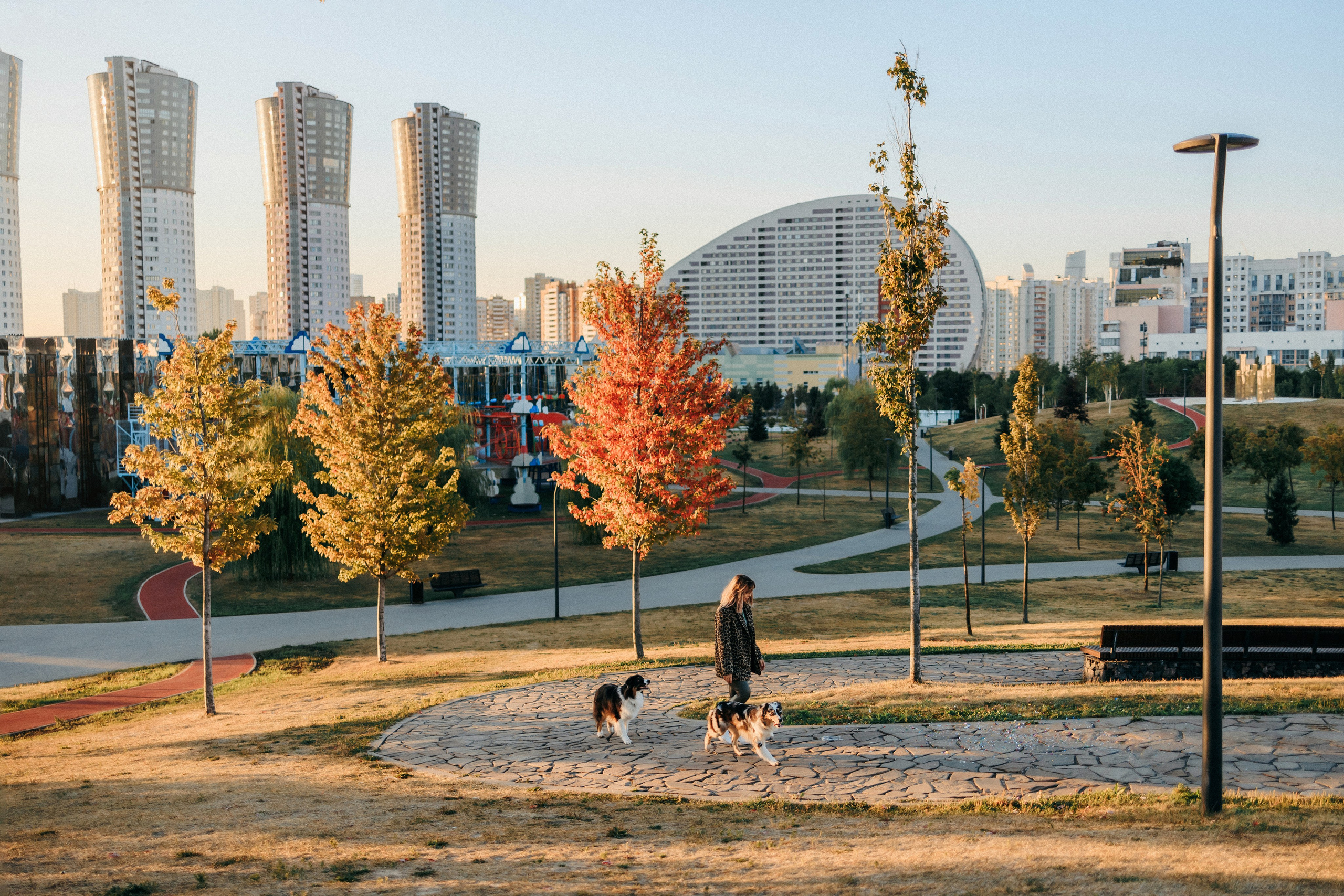 Аня, Чарли и Ева. Фотограф-анималист Елена Радченко, Москва