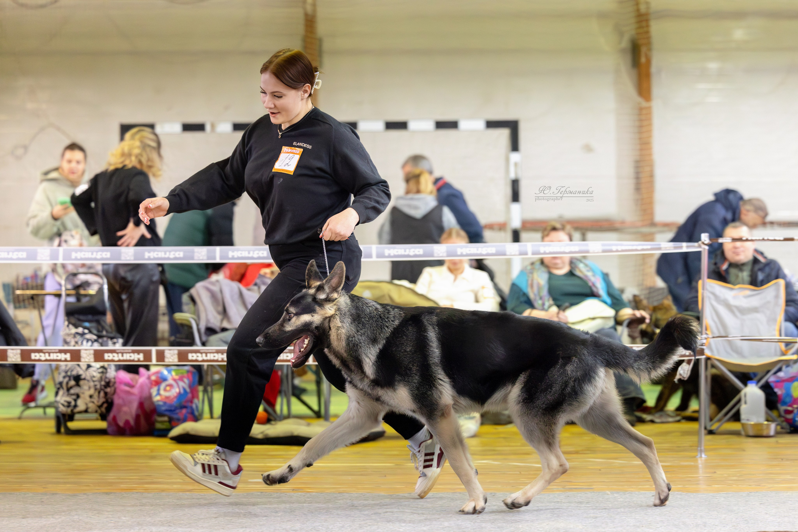 Тверь 21.12.2025. Фотограф-анималист Юлия Германика