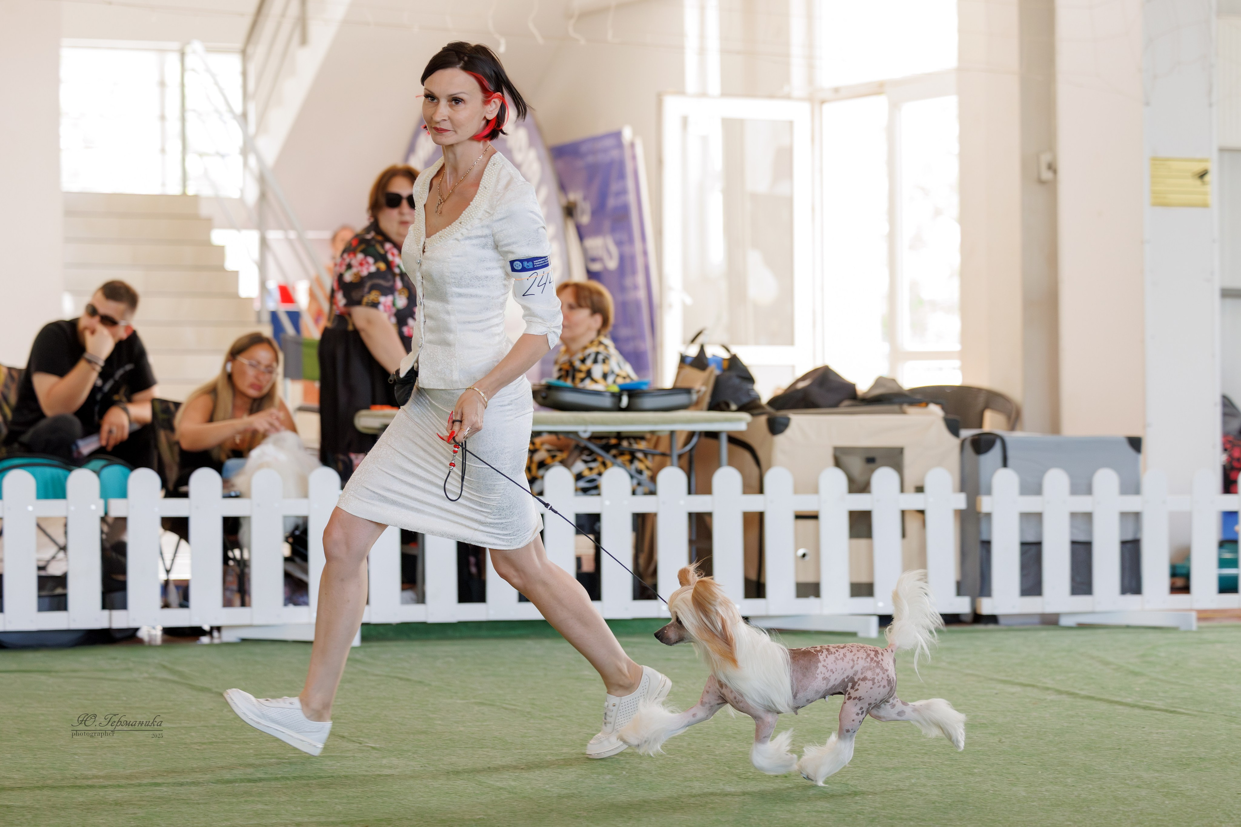 Батуми 3хCACIB 27-29.06.2025. Фотограф-анималист Юлия Германика