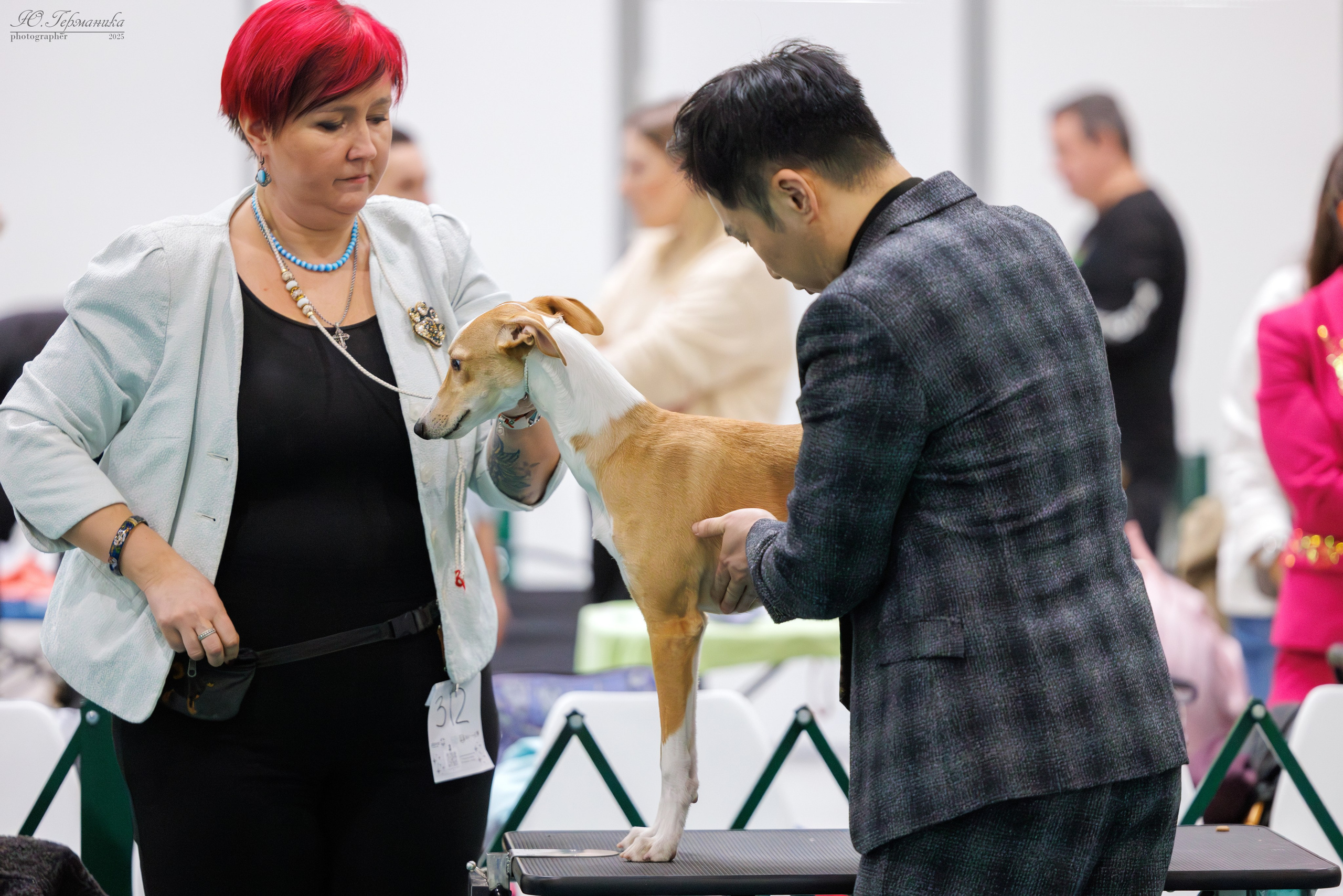 Гран-При 8.02.2025 и Крокус 09.02.2025. Фотограф-анималист Юлия Германика