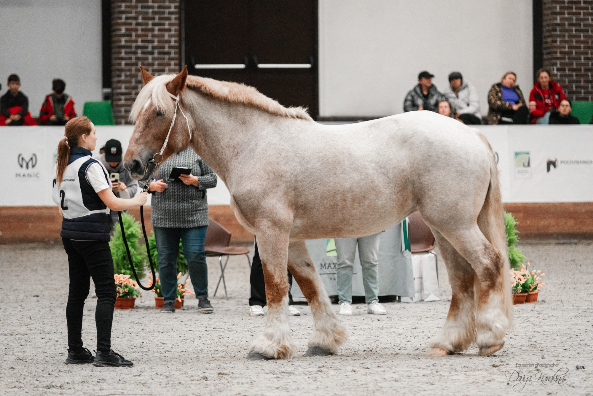 8-я международная выставка Конная Россия. Конный фотограф Куракина Дарья • Фотосессии с лошадьми