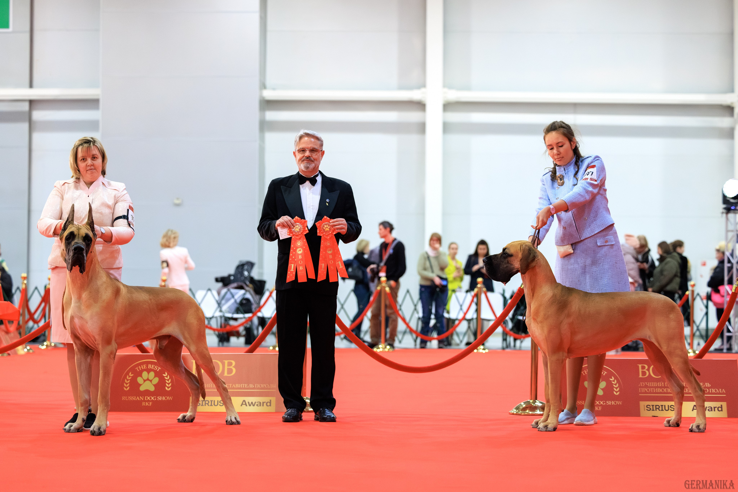Лучшие Собаки России 17-18.02.2024. Фотограф-анималист Юлия Германика