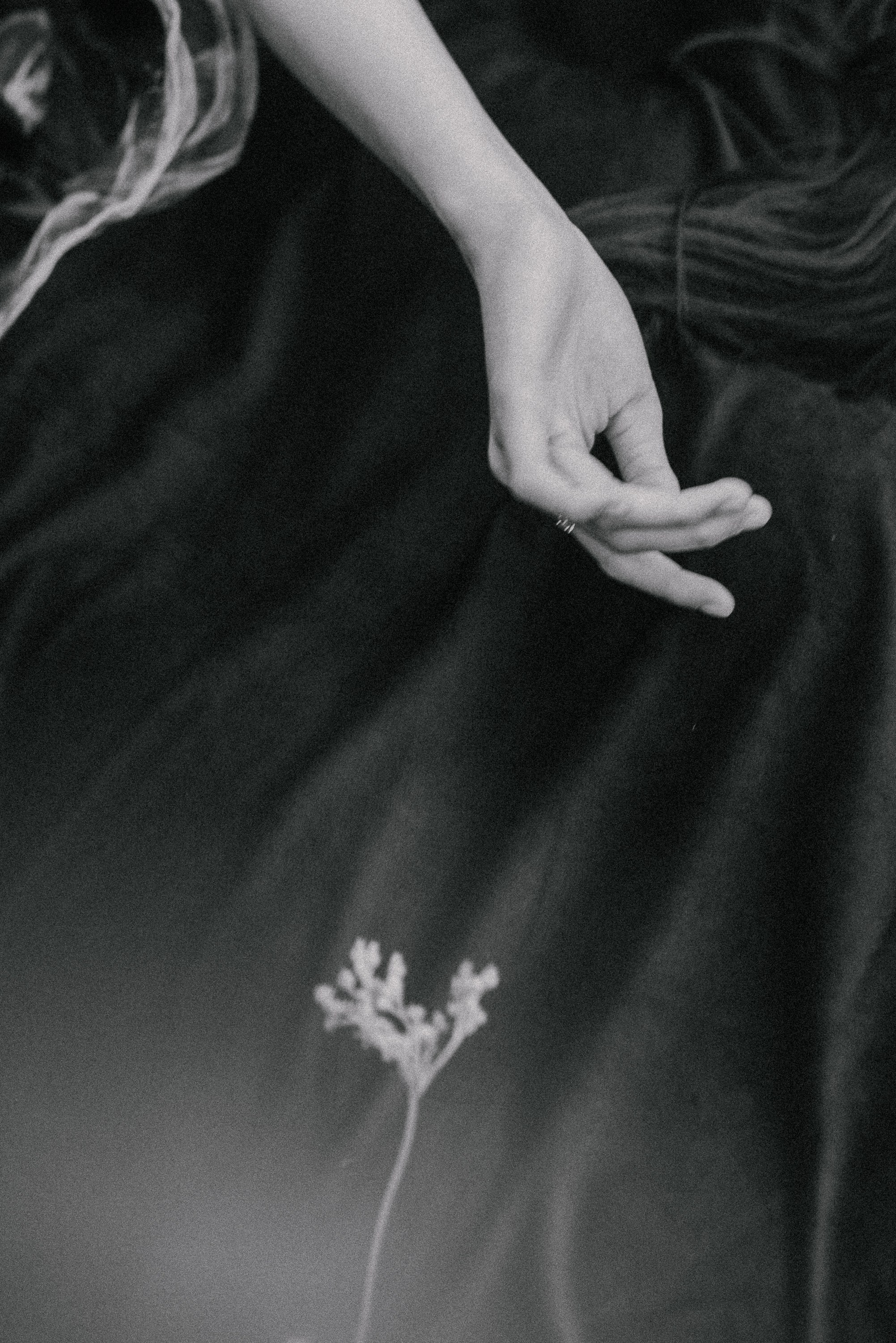 Никита и Жастина. Свадебный и семейный фотограф в Курске Николай Бусел