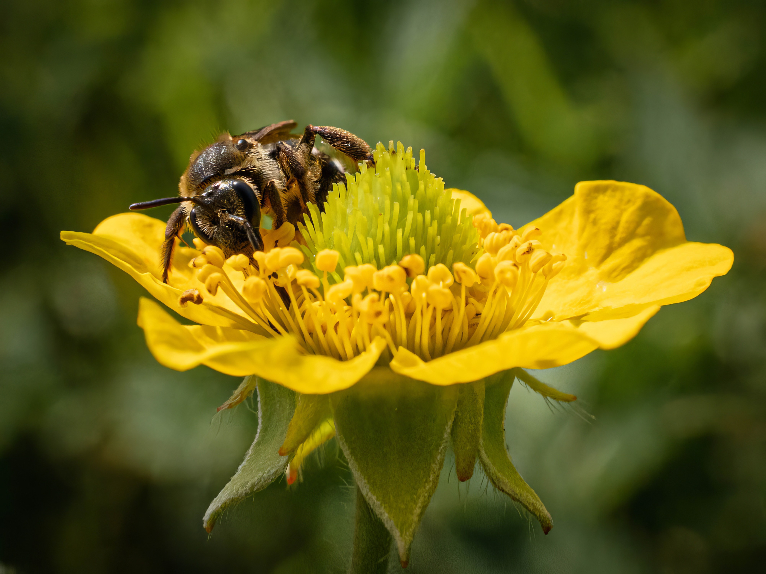 Портфолио. Фотограф и видеограф, видеомонтаж в Амурской области Игорь Иванов