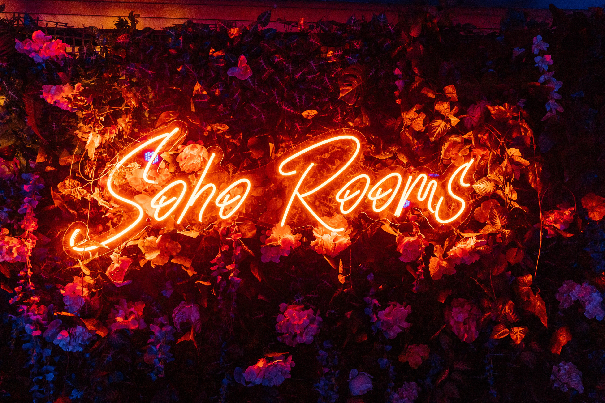 София День Рождения. Lokos.pro Ник Соколов Фото и Видео Москва/Ростов-на-Дону