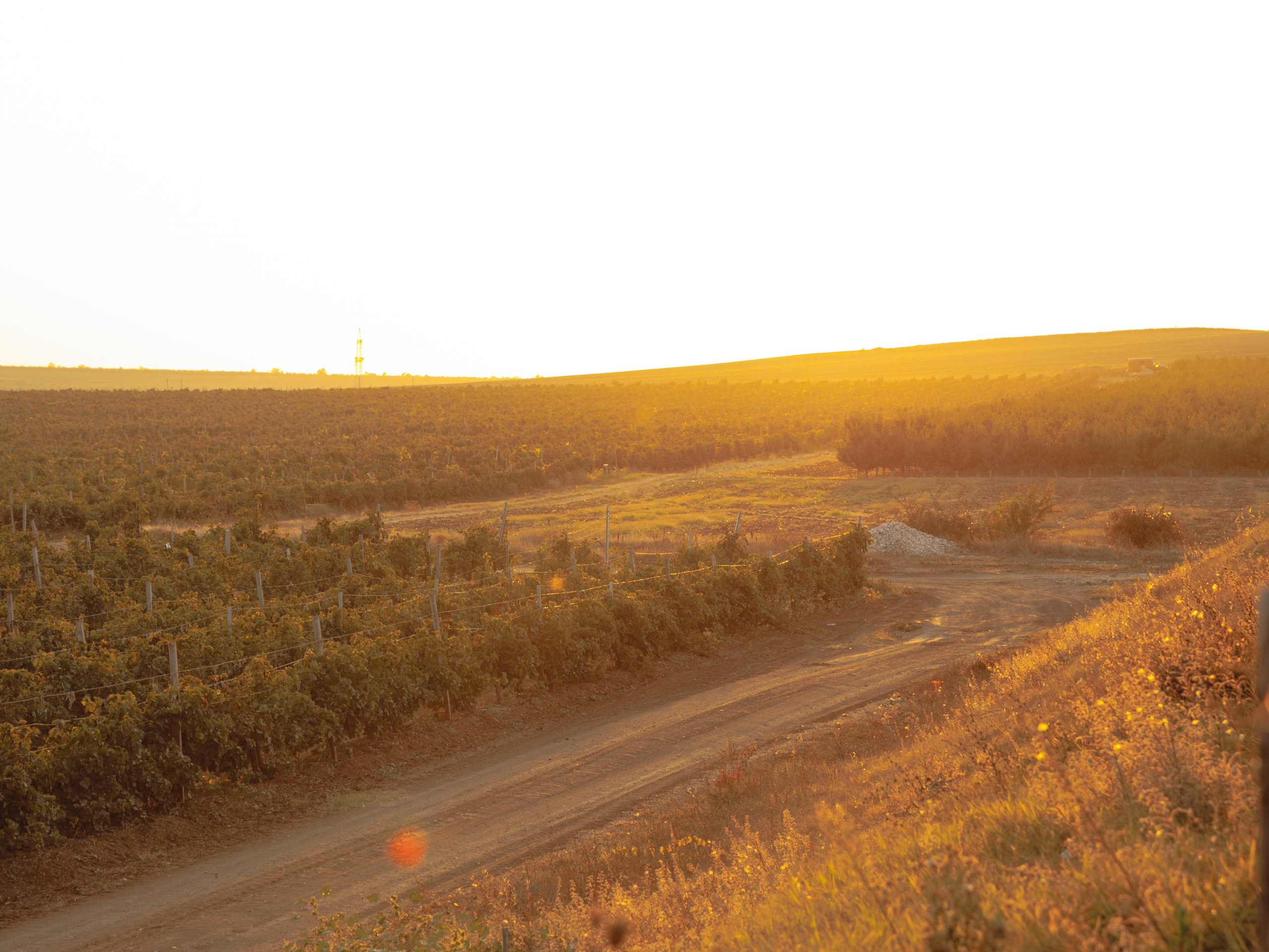 Domik в саду. Артем Корнев Фотограф