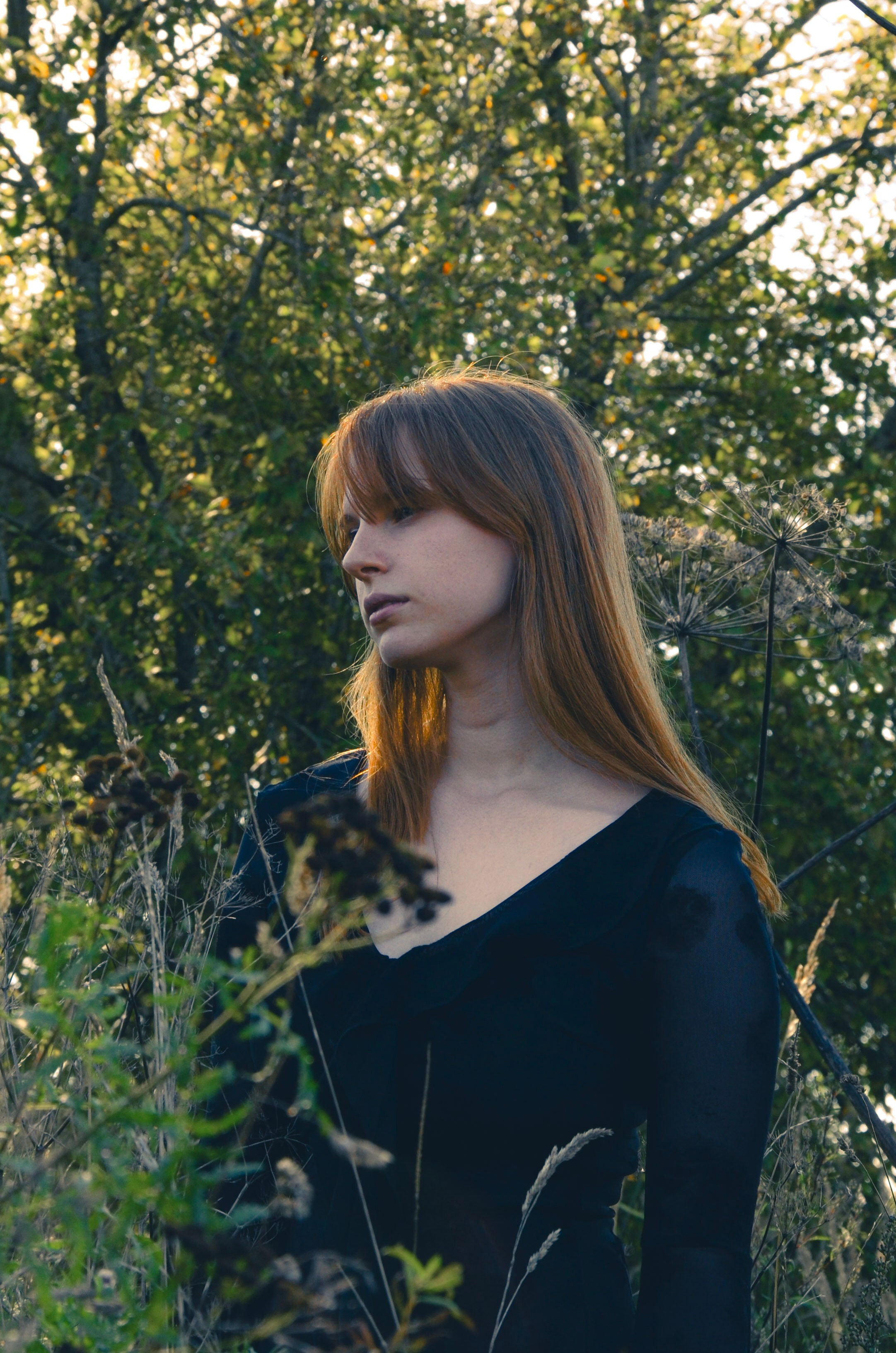 Лесное. Фотограф СПб | Лесная фотосессия