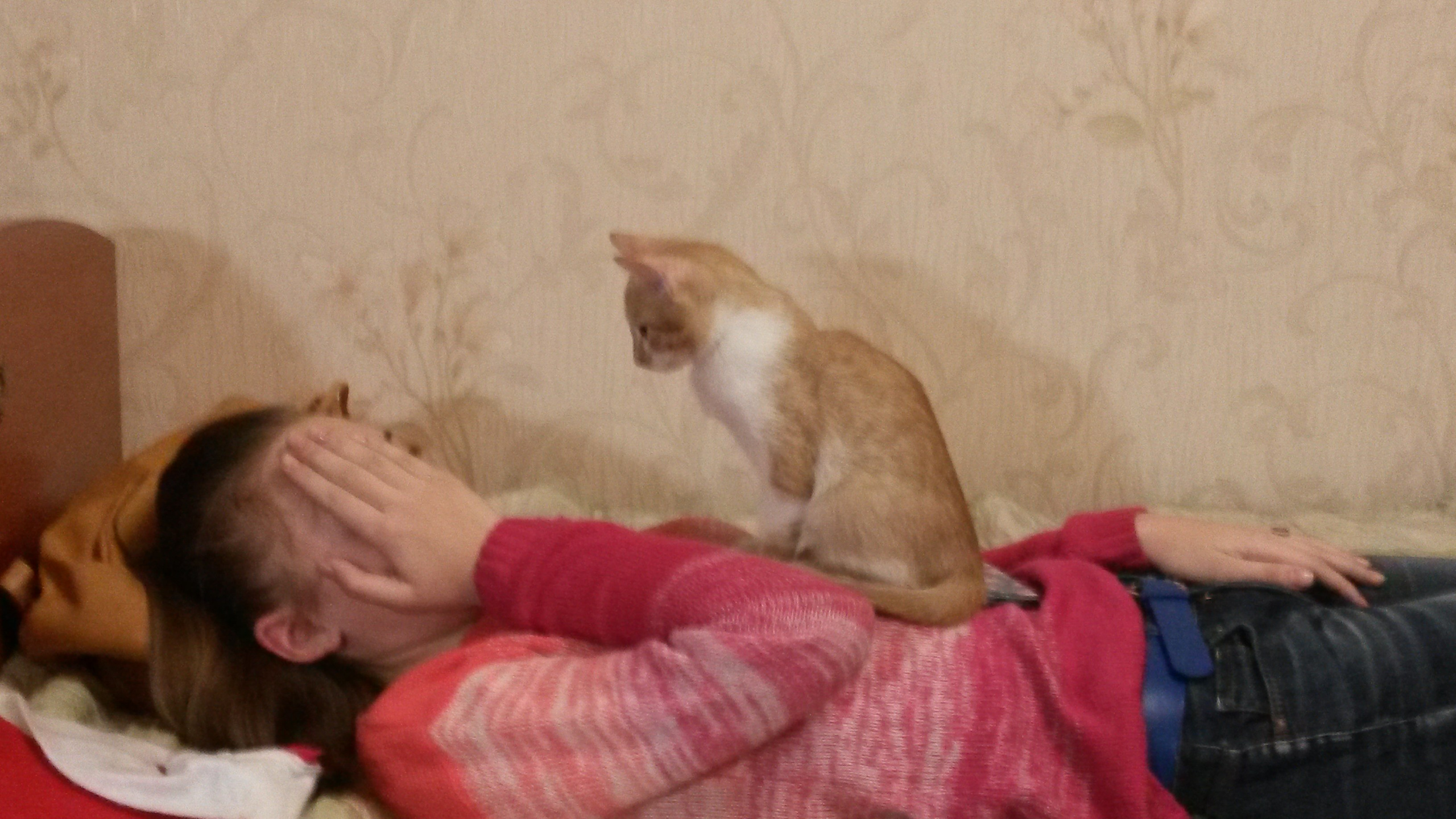 Декабрь (Школа, НГ). Семейный, Свадебный фотограф СПБ Питер— Романова Екатерина