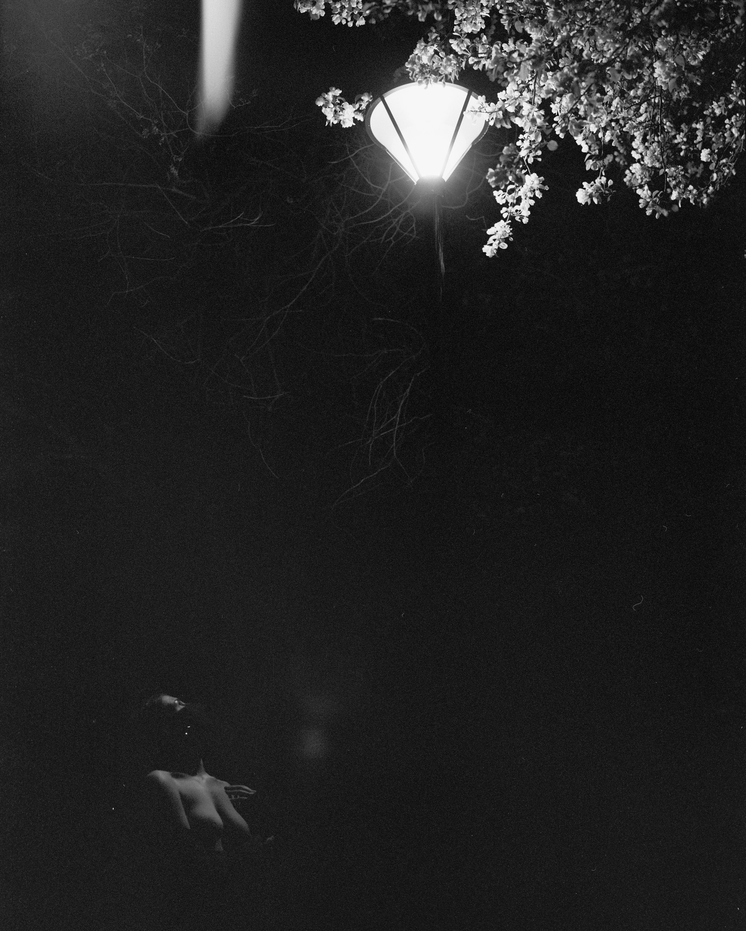 Рандеву. Фотограф в Санкт-Петербурге Березовский Даниил