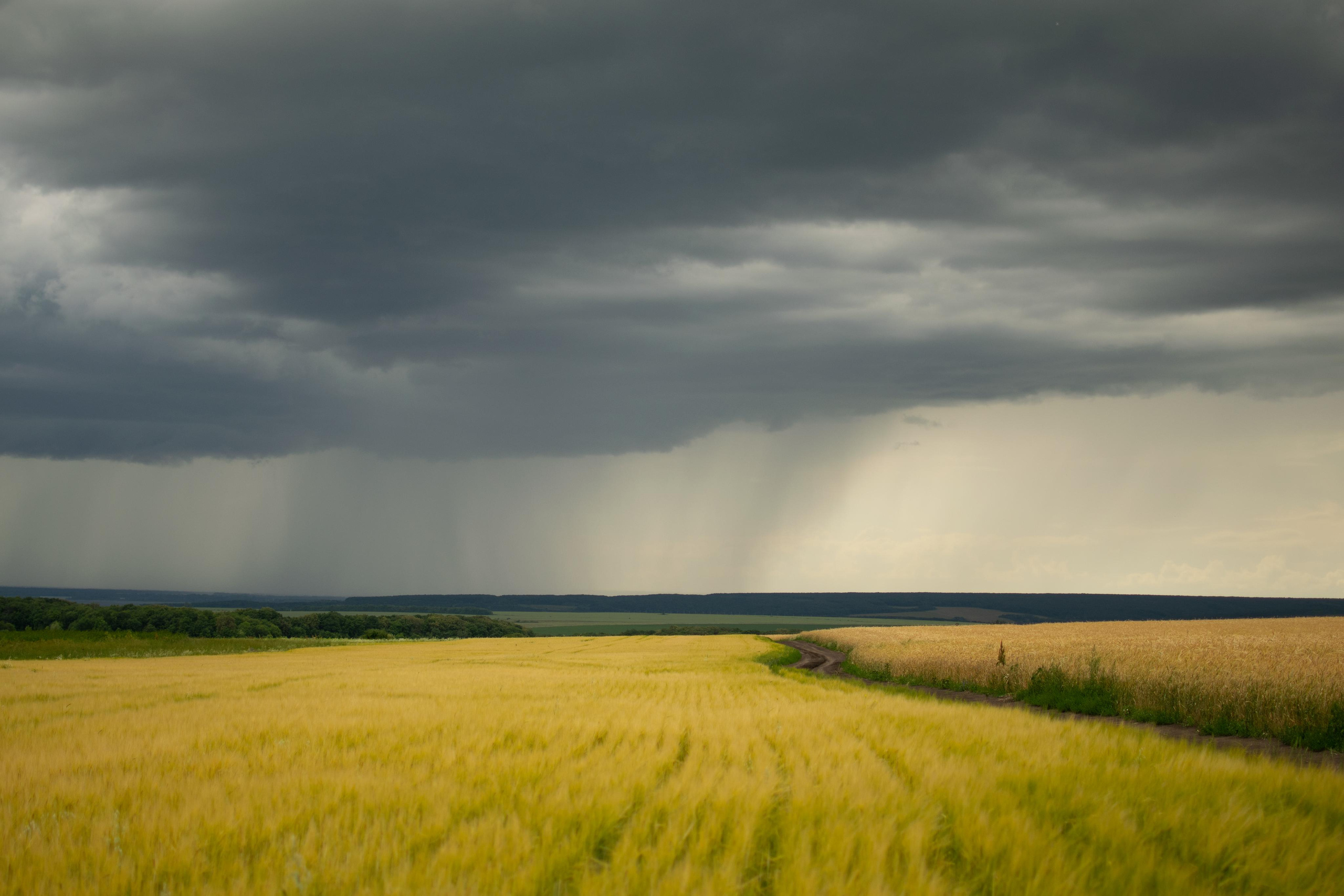Мир вокруг меня. Фотограф вдохновленной жизнью и природой Надежда Адданикова