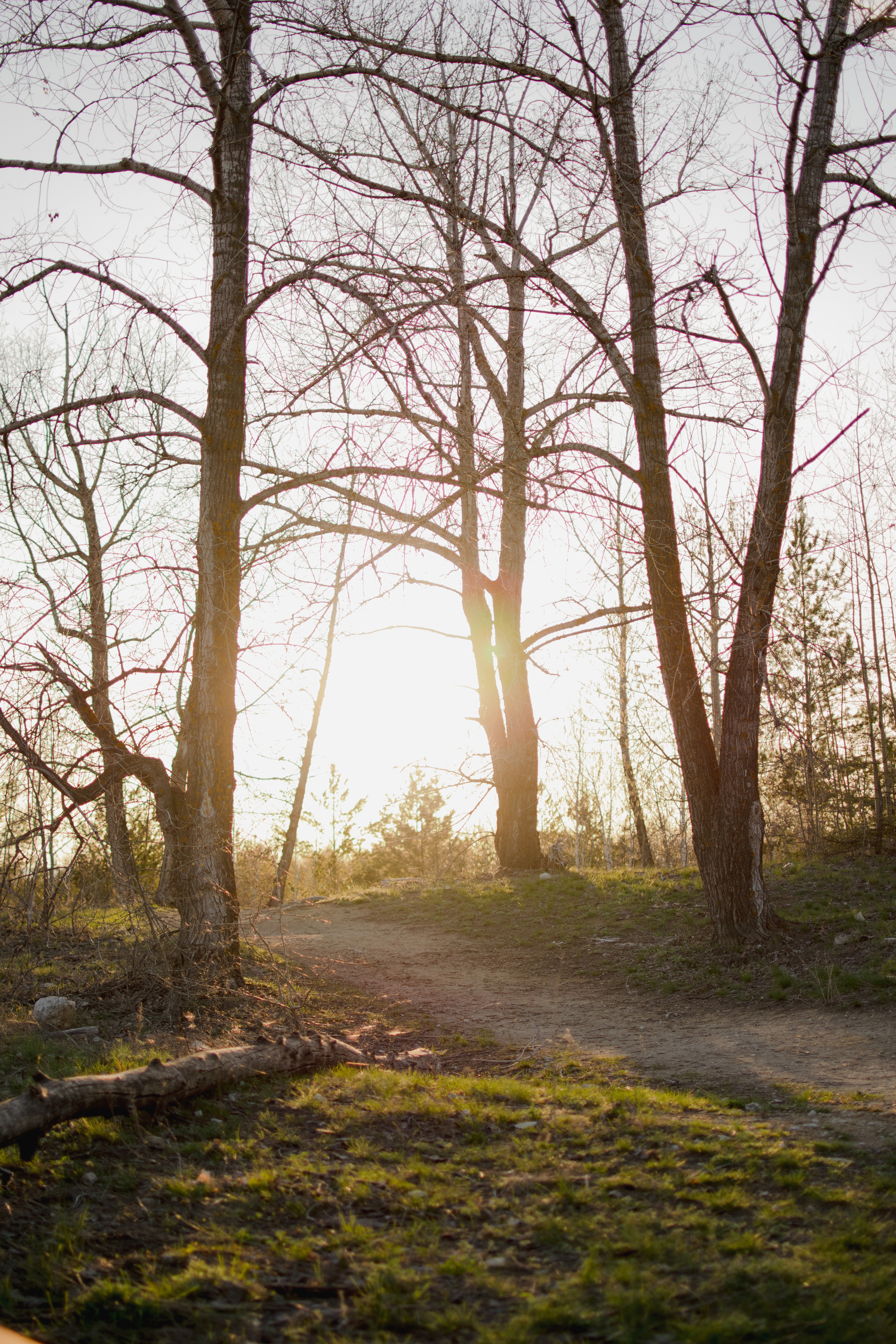 Мир вокруг меня. Фотограф вдохновленной жизнью и природой Надежда Адданикова