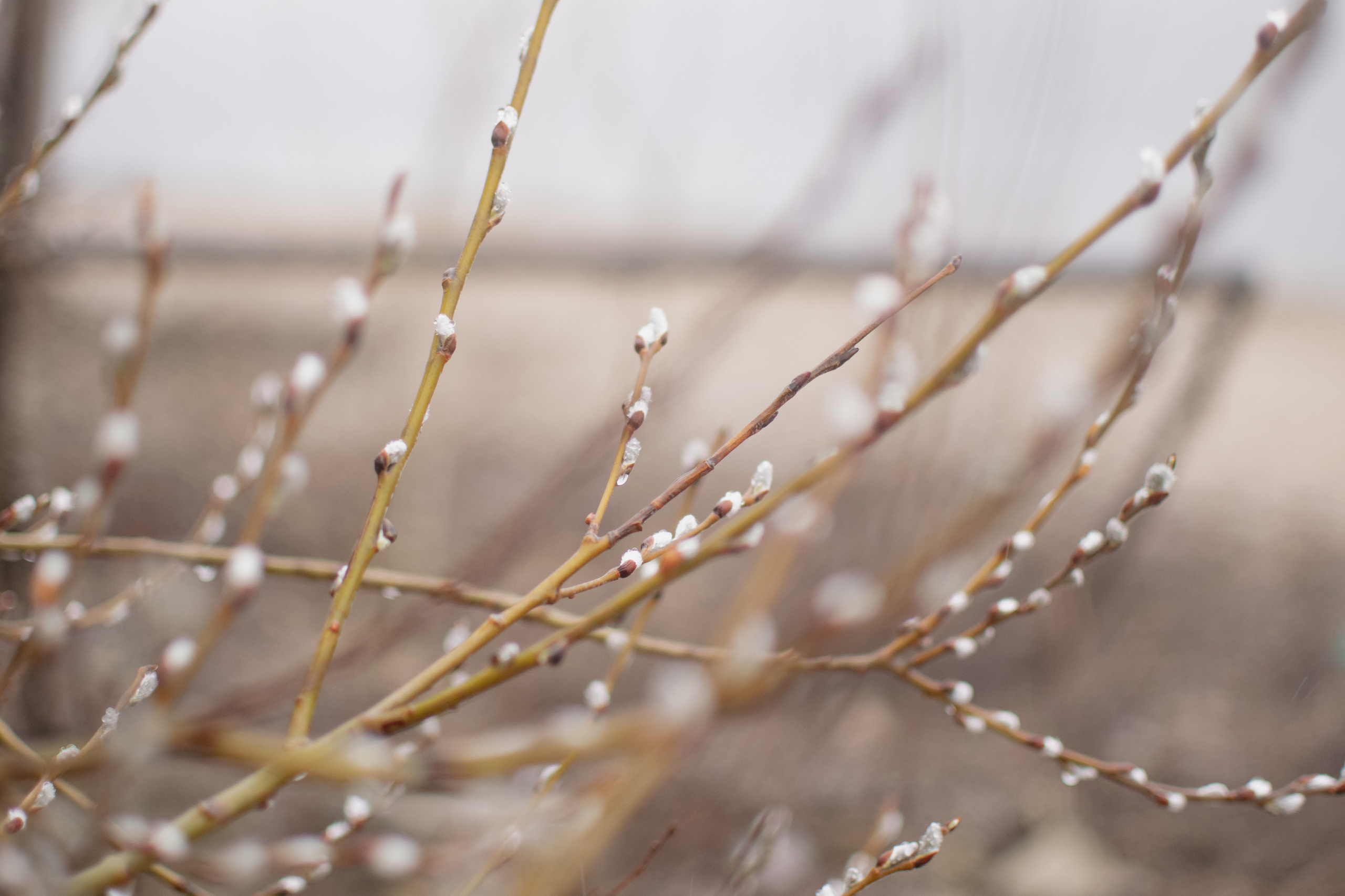 Мир вокруг меня. Фотограф вдохновленной жизнью и природой Надежда Адданикова