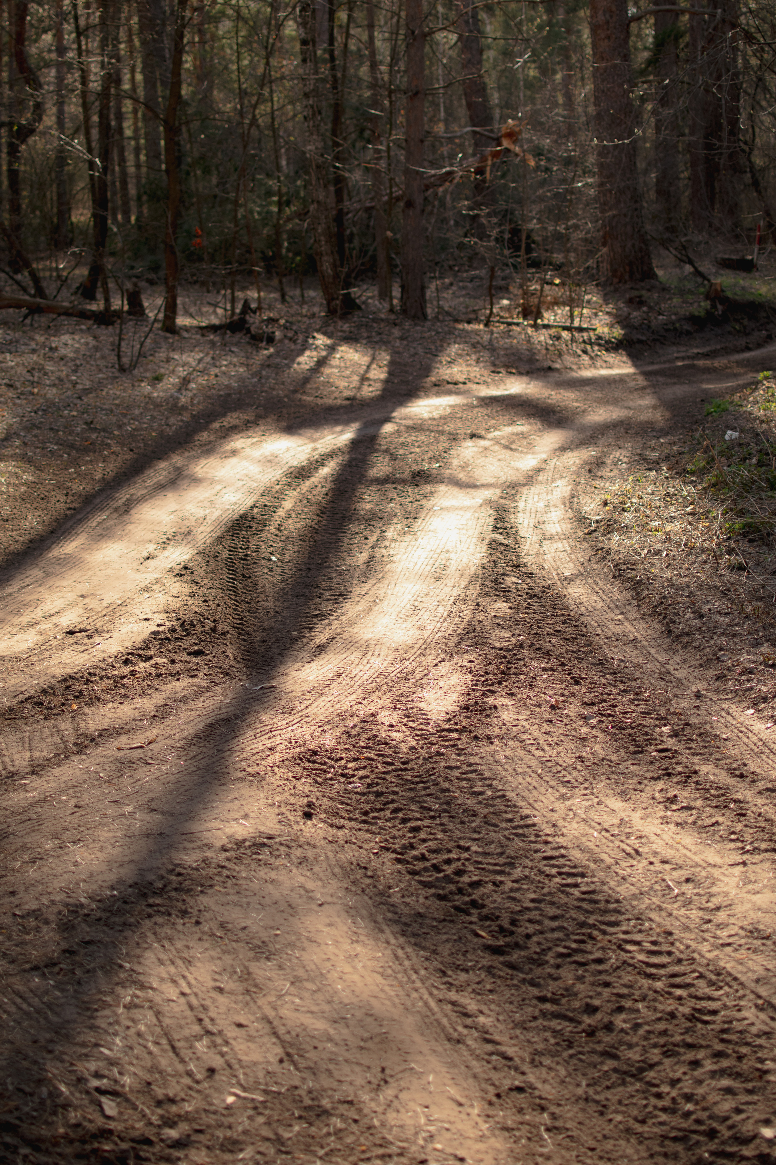 Мир вокруг меня. Фотограф вдохновленной жизнью и природой Надежда Адданикова