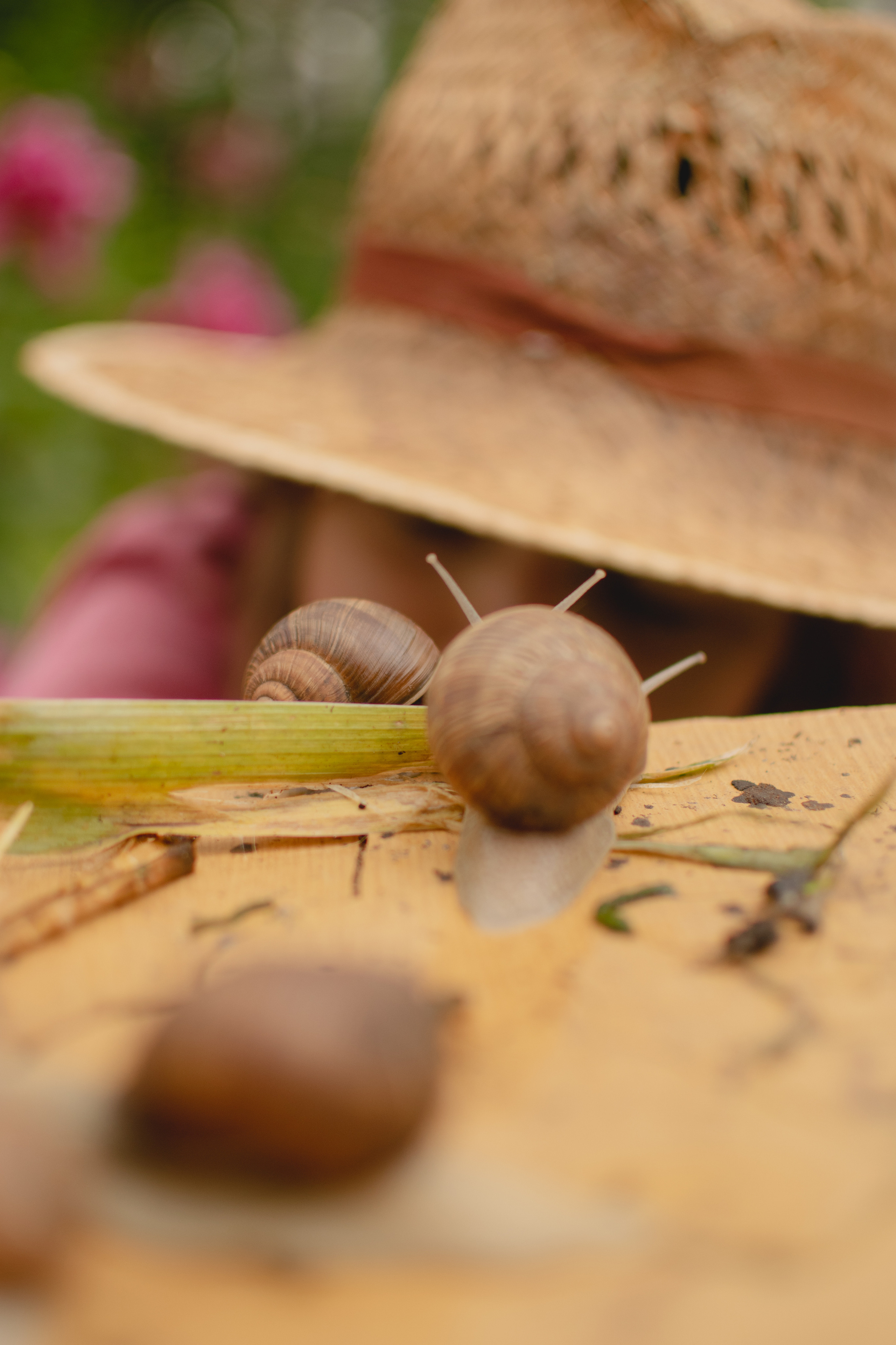 Улитки и Мирослава. Фотограф вдохновленной жизнью и природой Надежда Адданикова