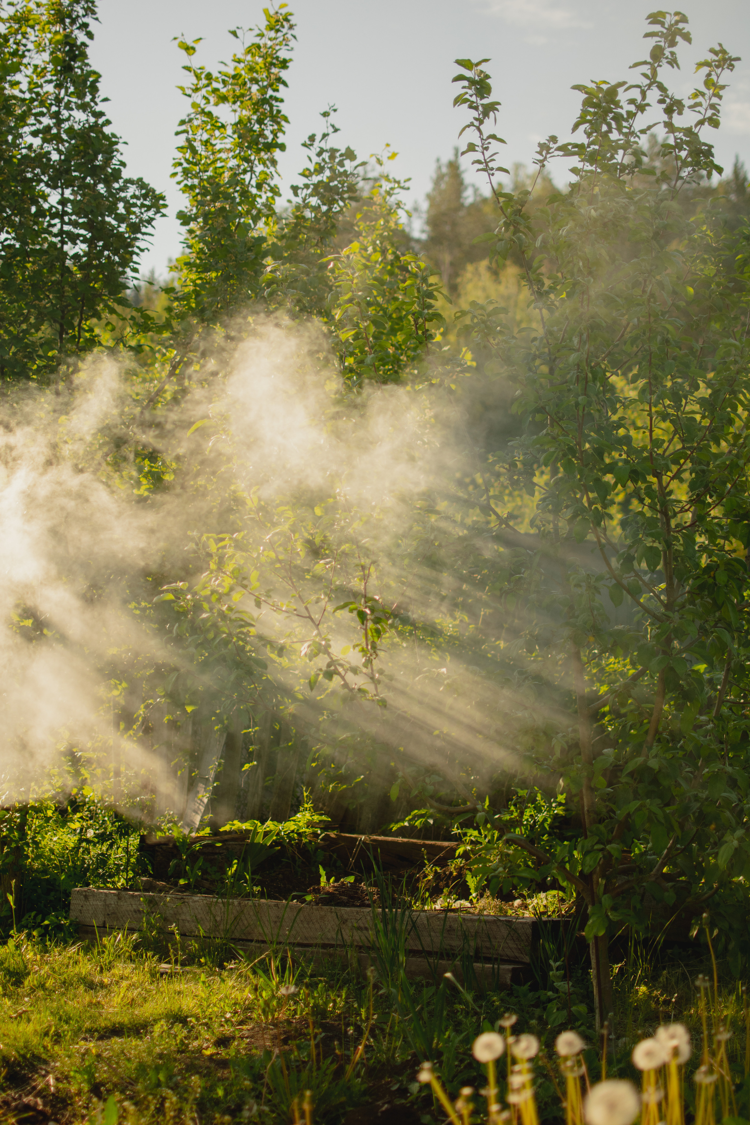 Мир вокруг меня. Фотограф вдохновленной жизнью и природой Надежда Адданикова