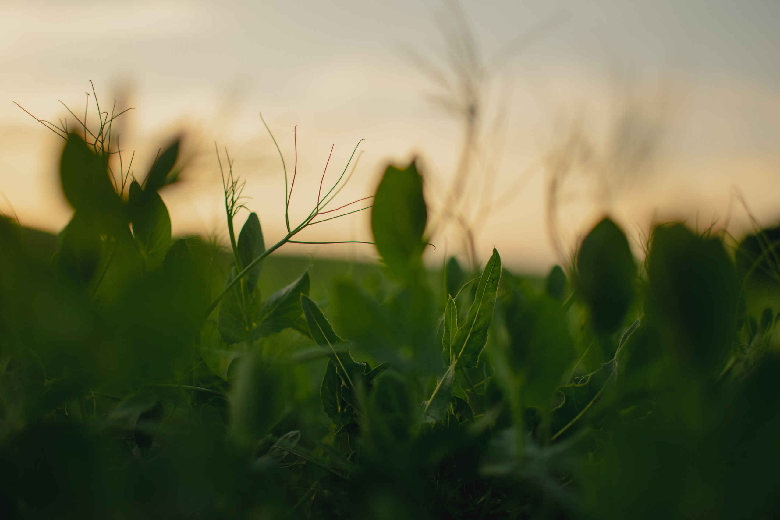 Мир вокруг меня. Фотограф вдохновленной жизнью и природой Надежда Адданикова