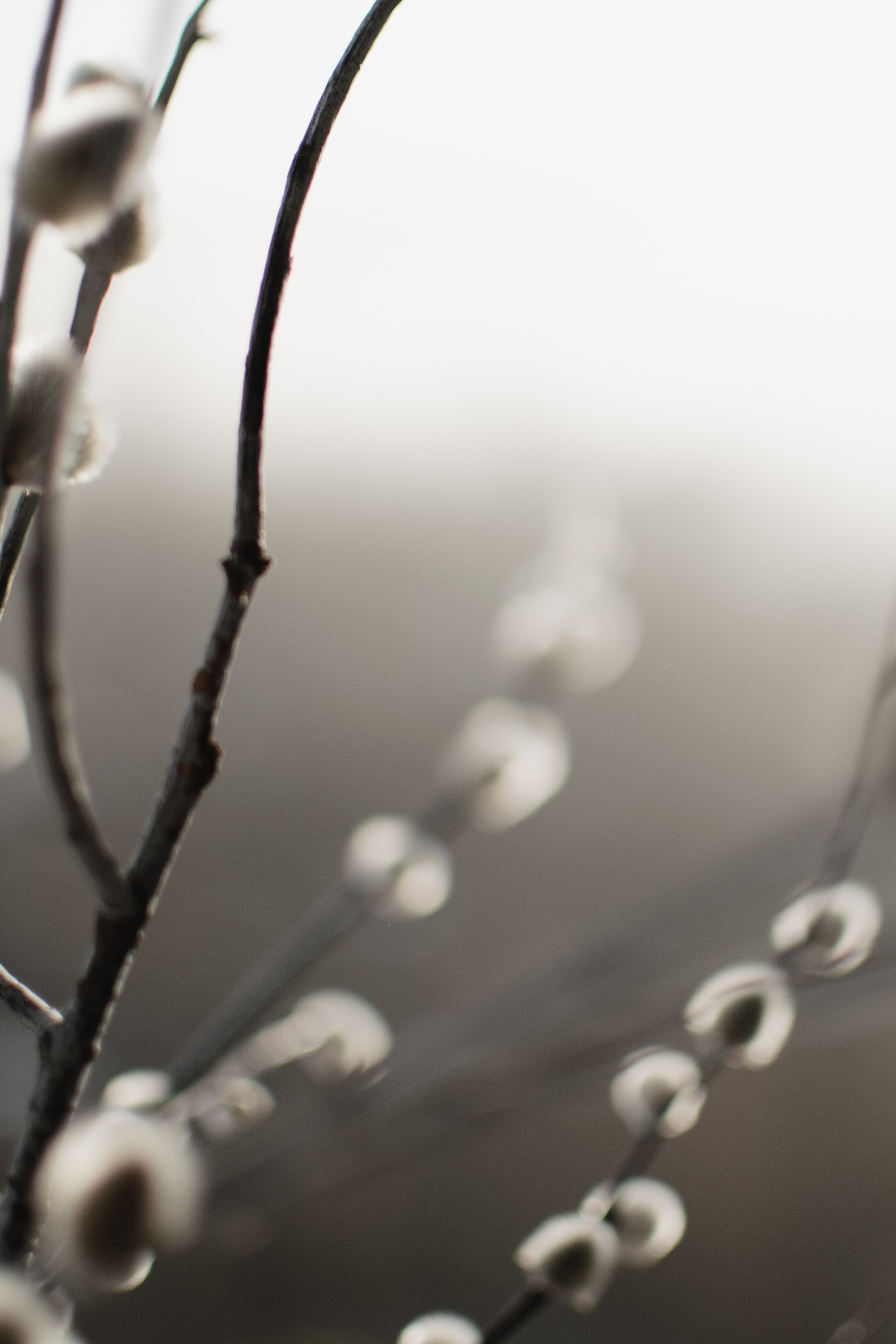 Мир вокруг меня. Фотограф вдохновленной жизнью и природой Надежда Адданикова