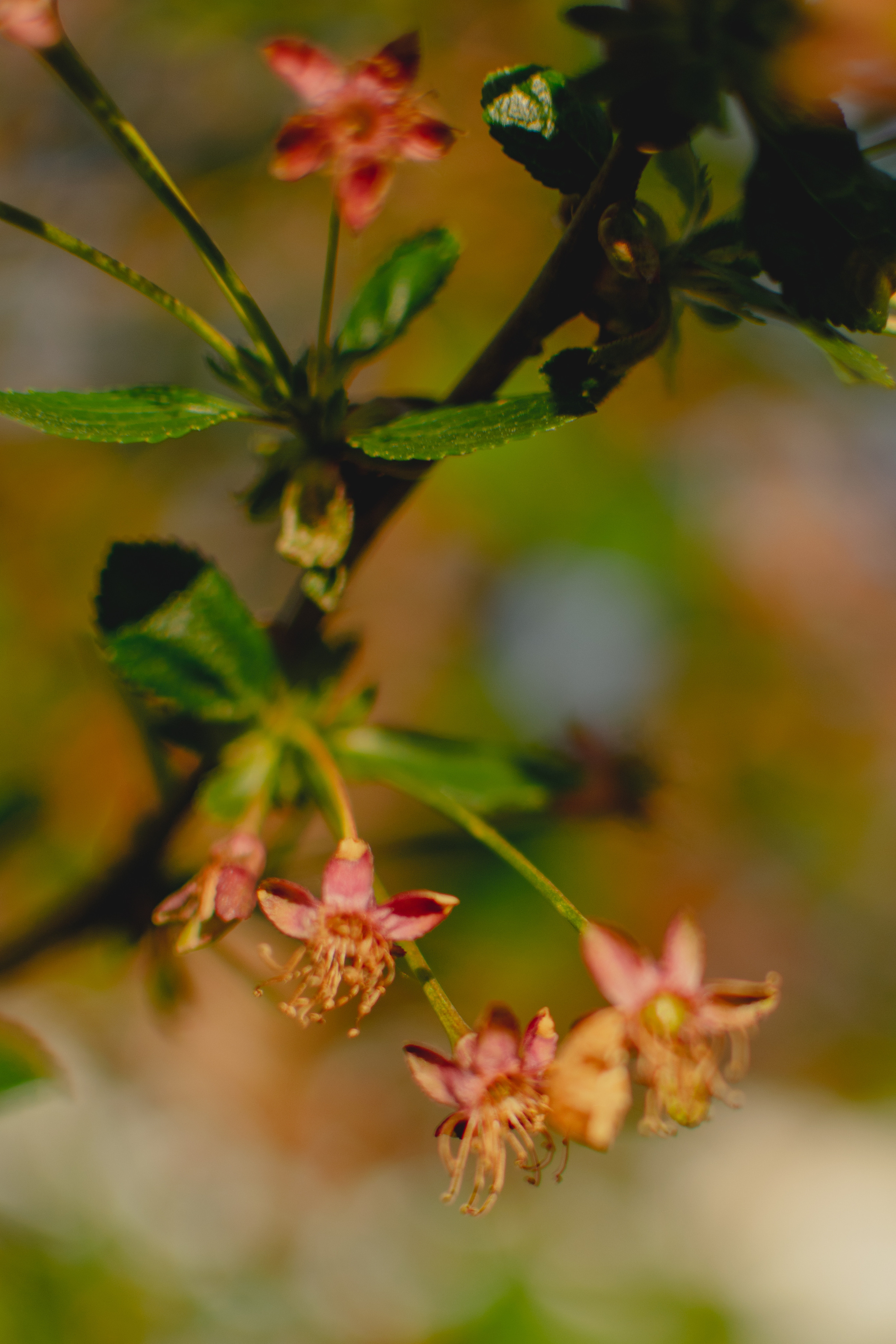 Мир вокруг меня. Фотограф вдохновленной жизнью и природой Надежда Адданикова