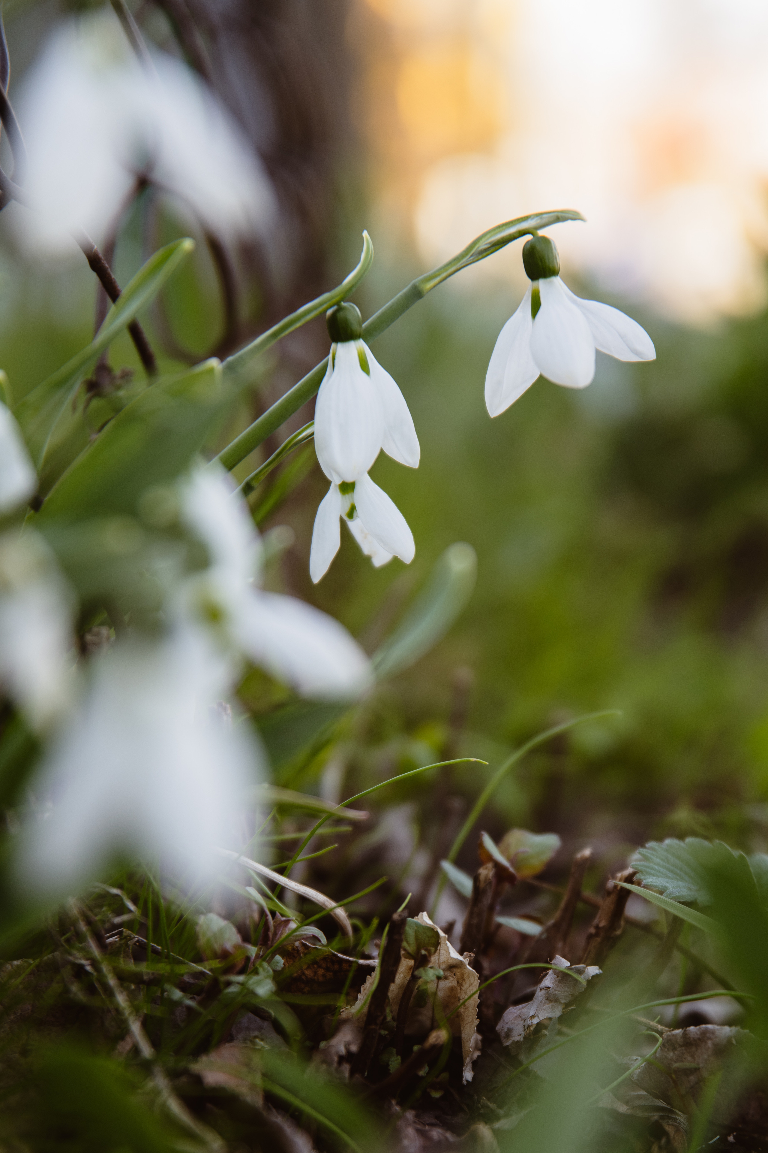 Мир вокруг меня. Фотограф вдохновленной жизнью и природой Надежда Адданикова