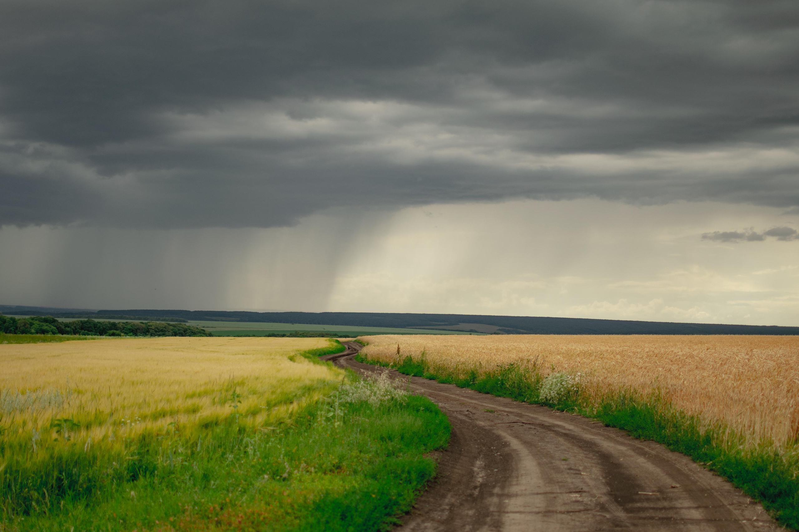 Мир вокруг меня. Фотограф вдохновленной жизнью и природой Надежда Адданикова