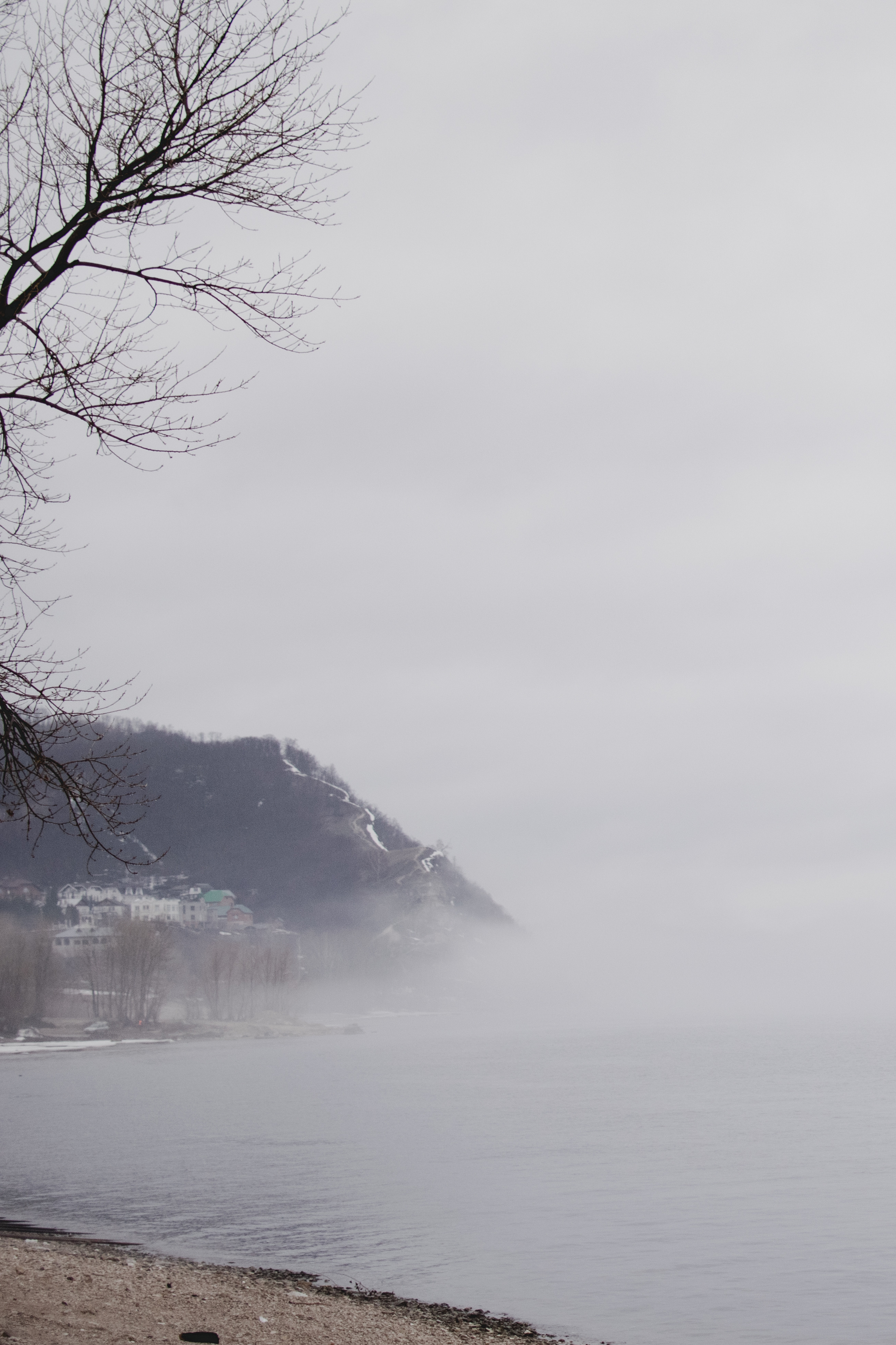 Мир вокруг меня. Фотограф вдохновленной жизнью и природой Надежда Адданикова