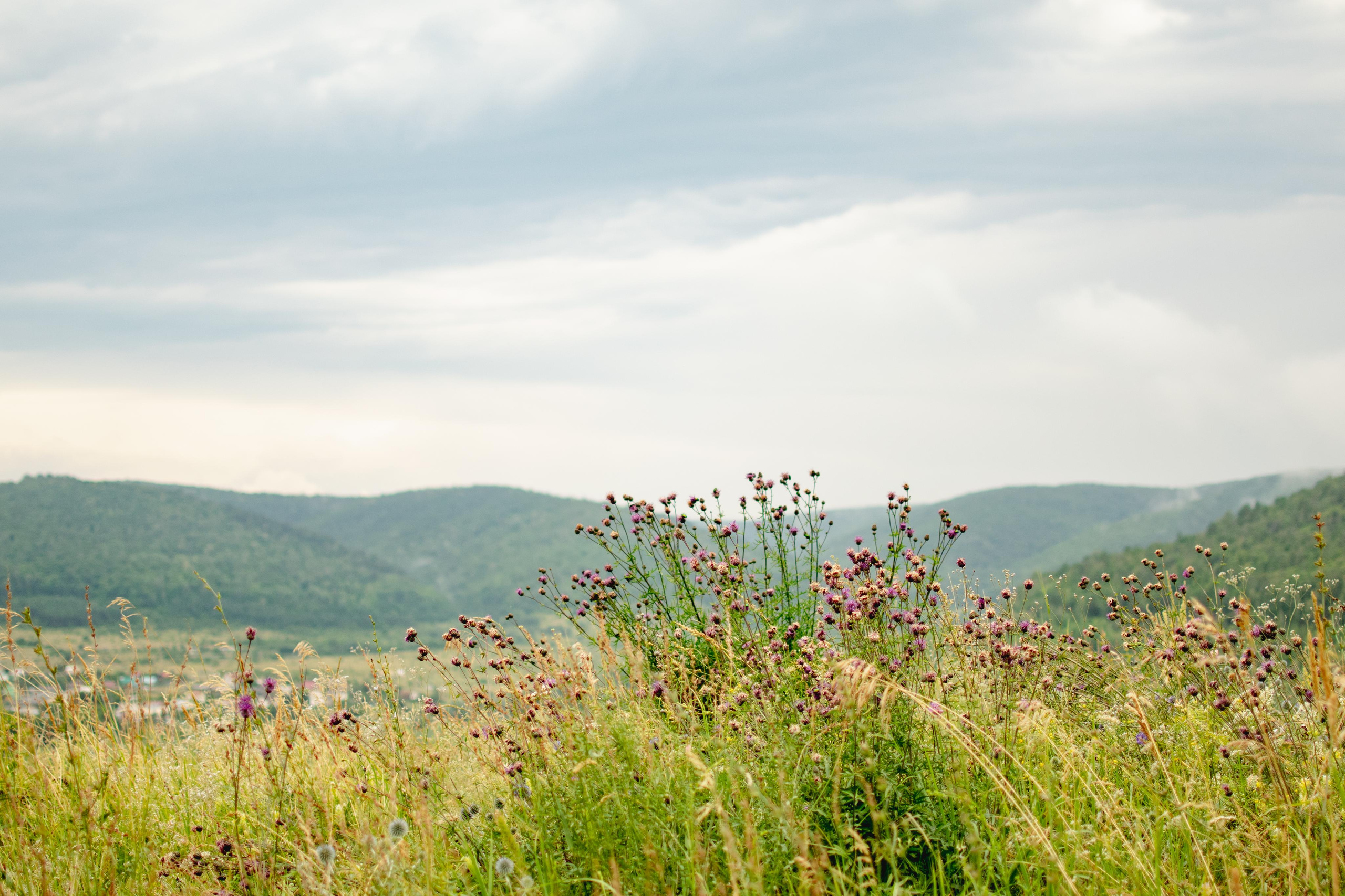 Мир вокруг меня. Фотограф вдохновленной жизнью и природой Надежда Адданикова