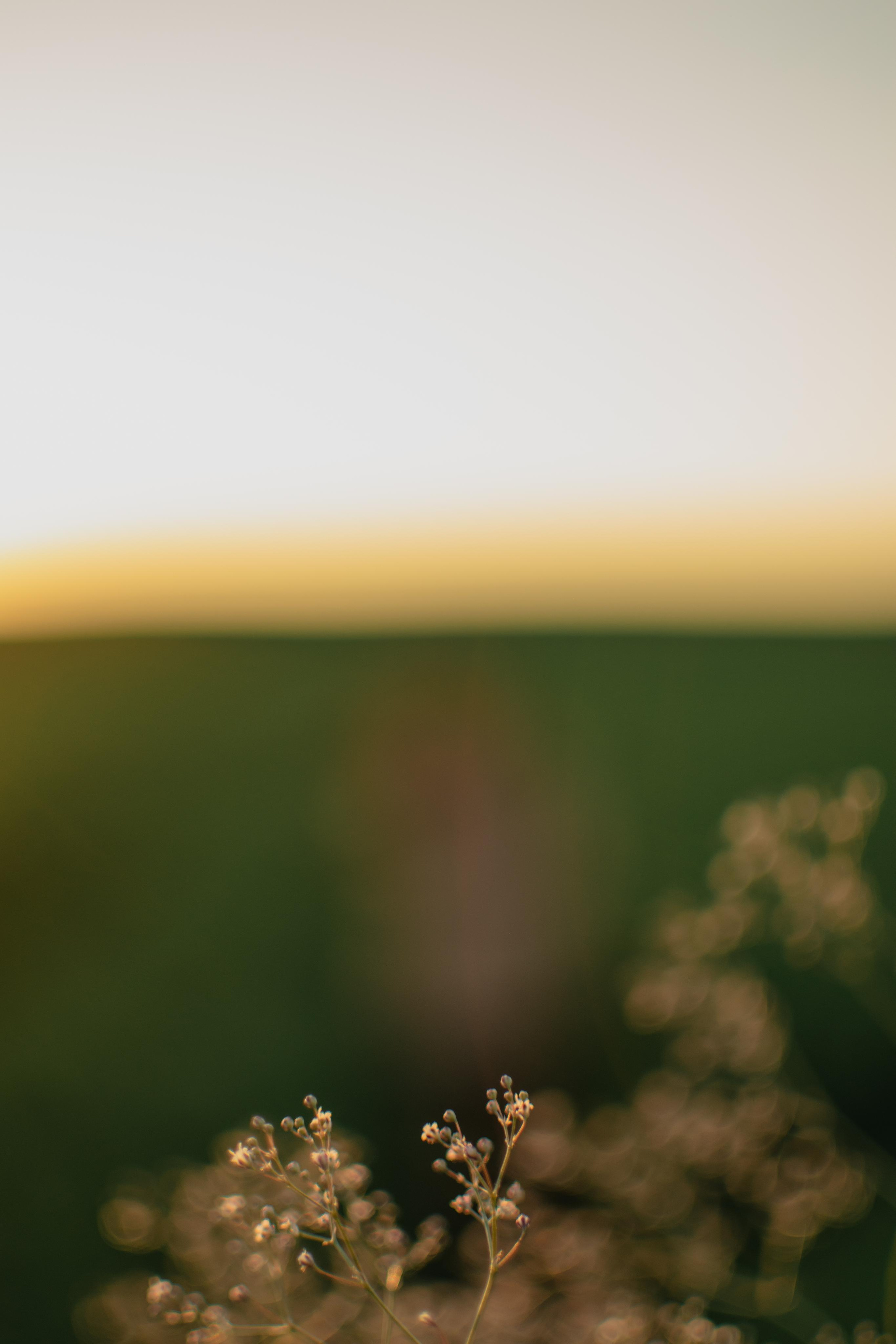 Романс. Фотограф вдохновленной жизнью и природой Надежда Адданикова