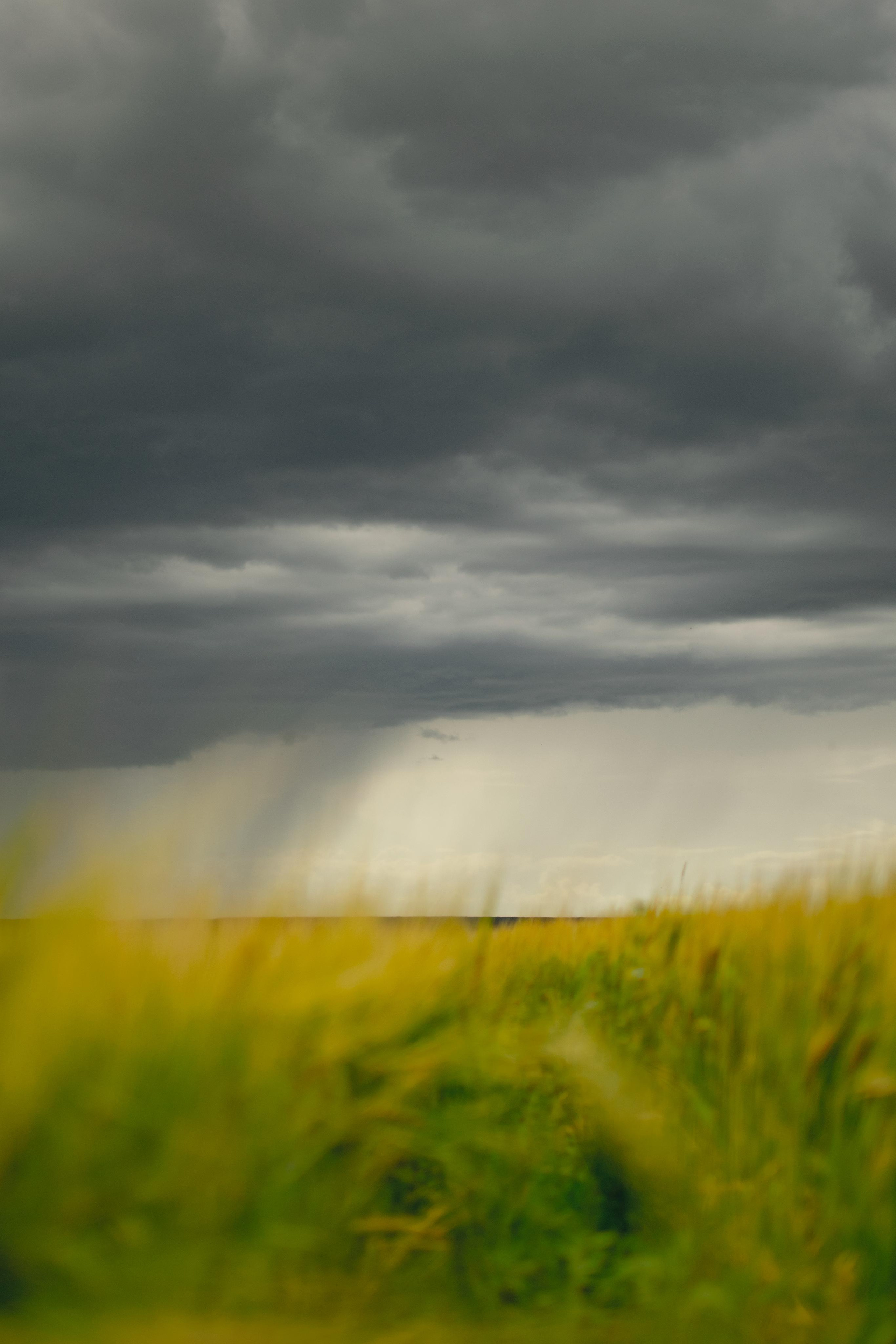 Мир вокруг меня. Фотограф вдохновленной жизнью и природой Надежда Адданикова