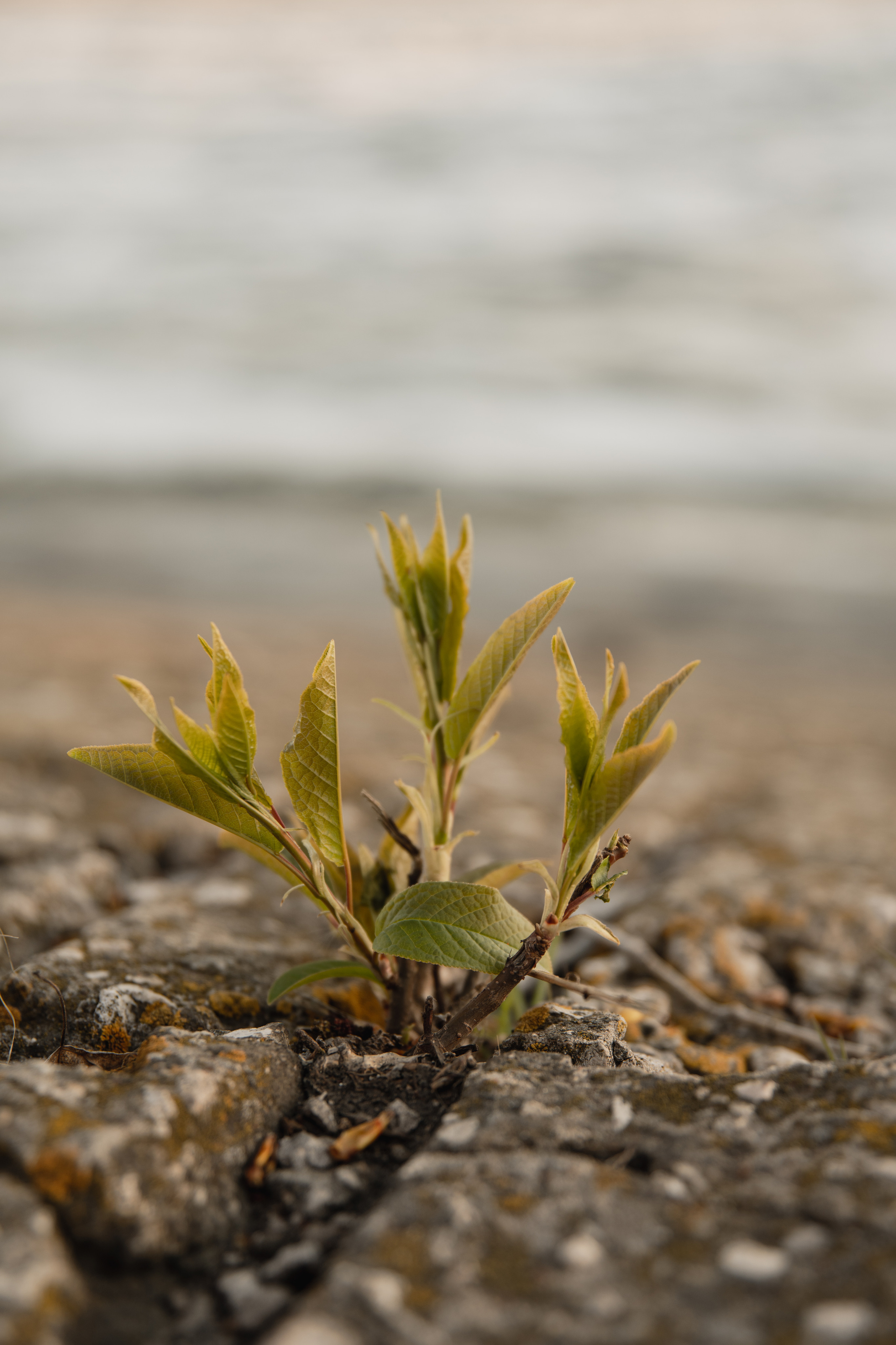 Мир вокруг меня. Фотограф вдохновленной жизнью и природой Надежда Адданикова