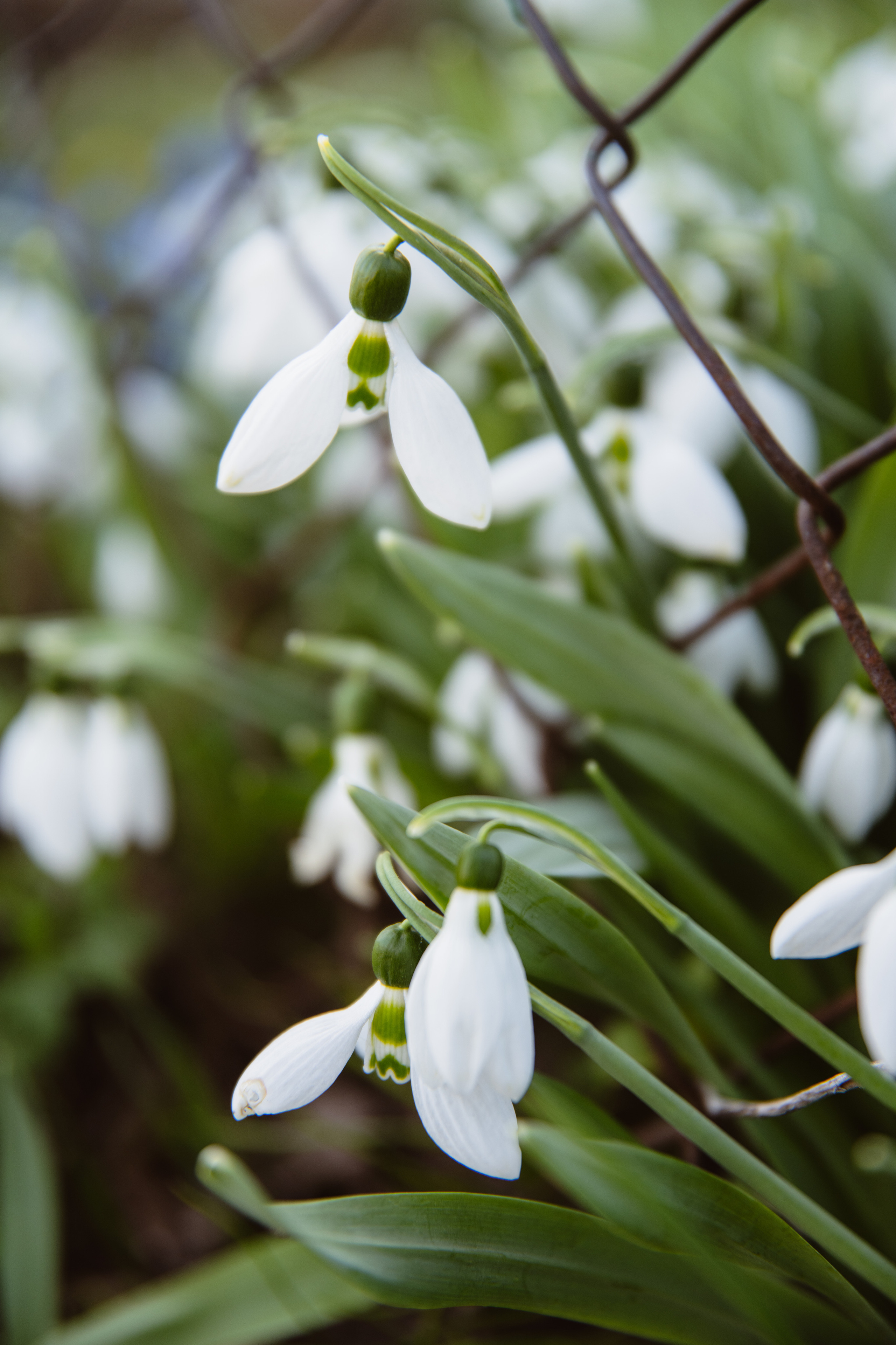 Мир вокруг меня. Фотограф вдохновленной жизнью и природой Надежда Адданикова
