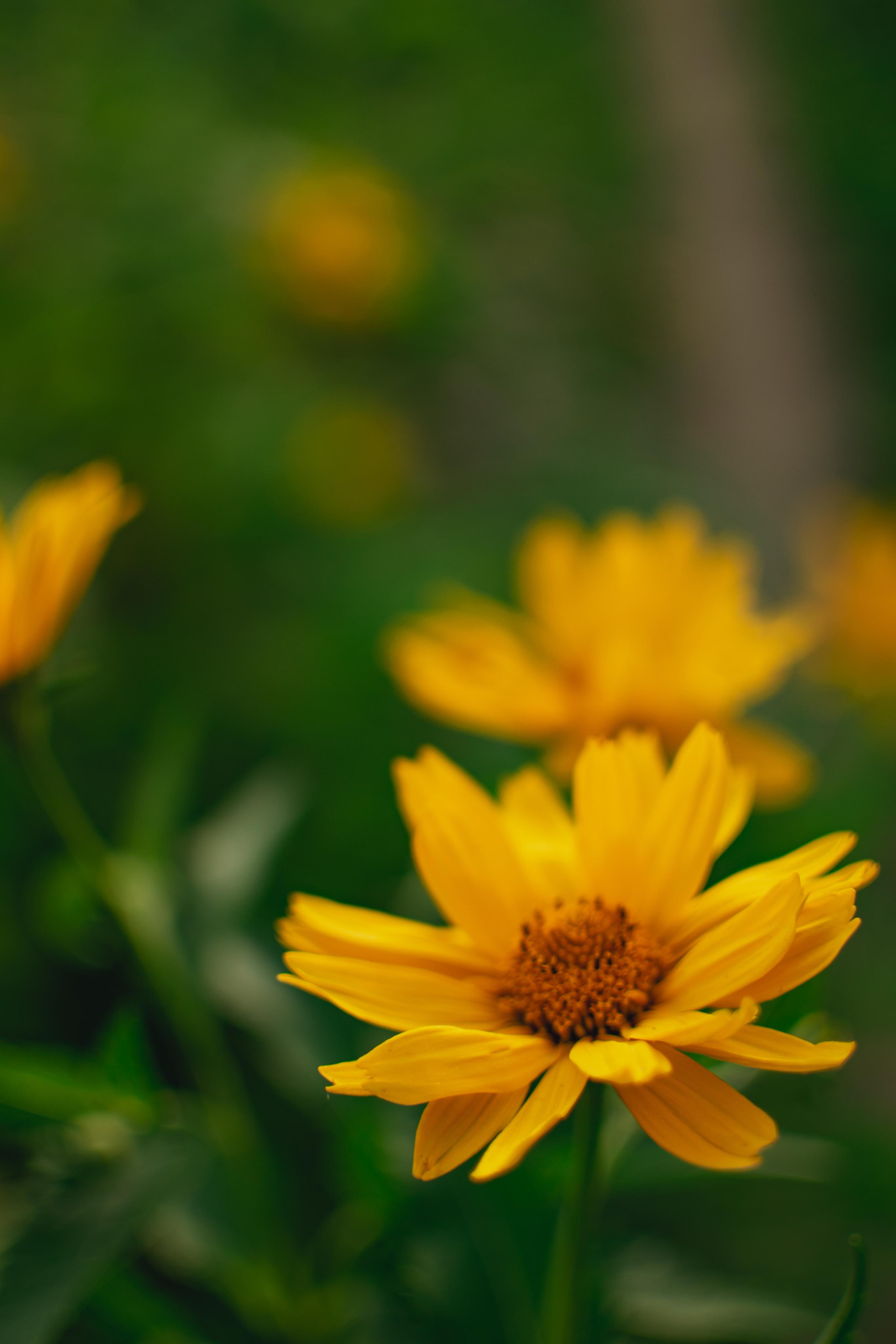 Мир вокруг меня. Фотограф вдохновленной жизнью и природой Надежда Адданикова