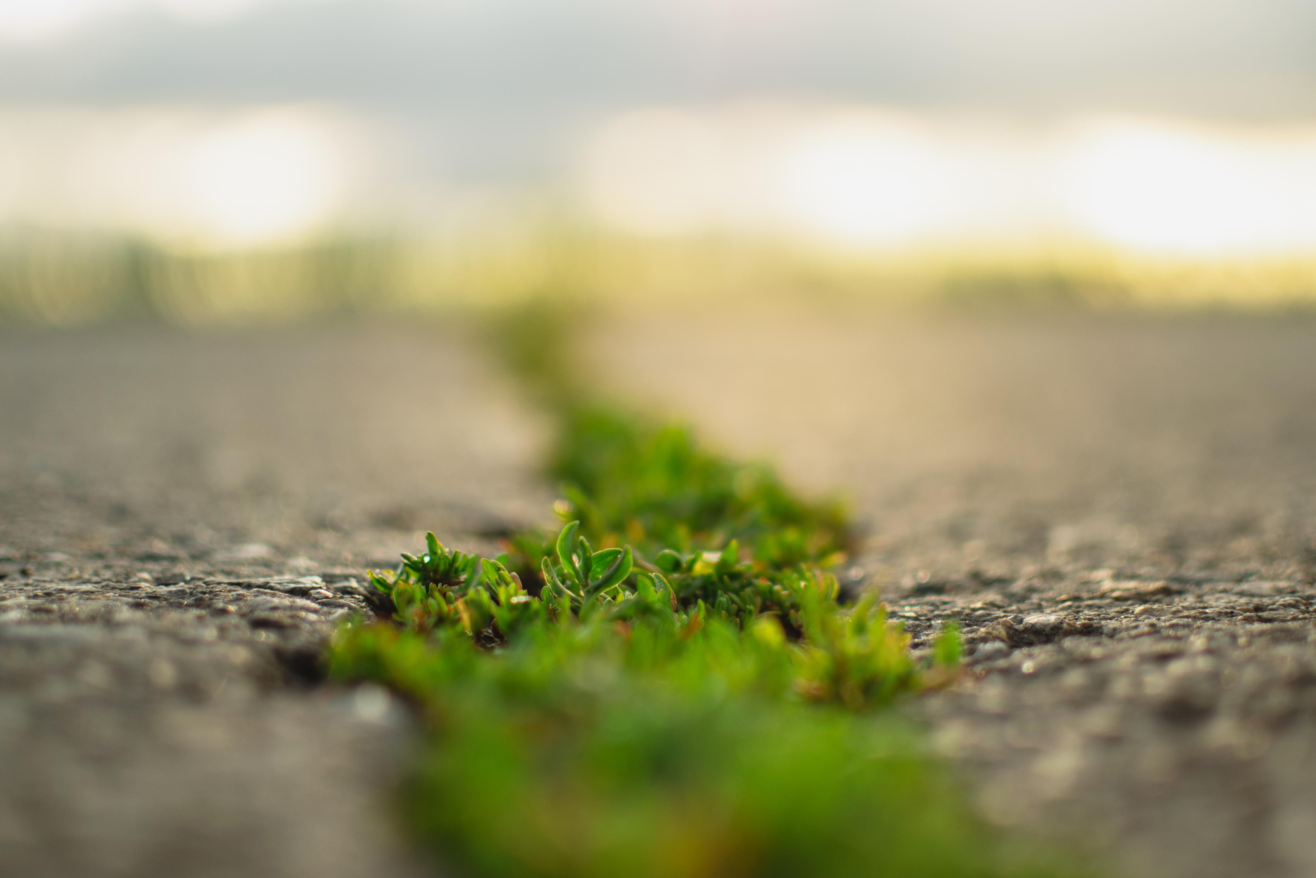 Мир вокруг меня. Фотограф вдохновленной жизнью и природой Надежда Адданикова