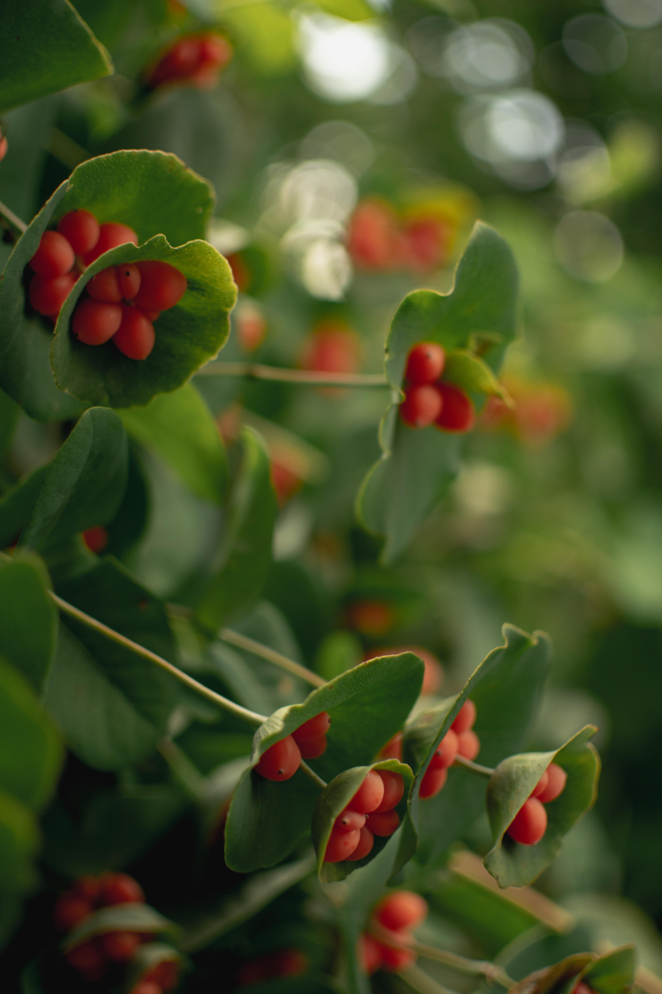 Мир вокруг меня. Фотограф вдохновленной жизнью и природой Надежда Адданикова
