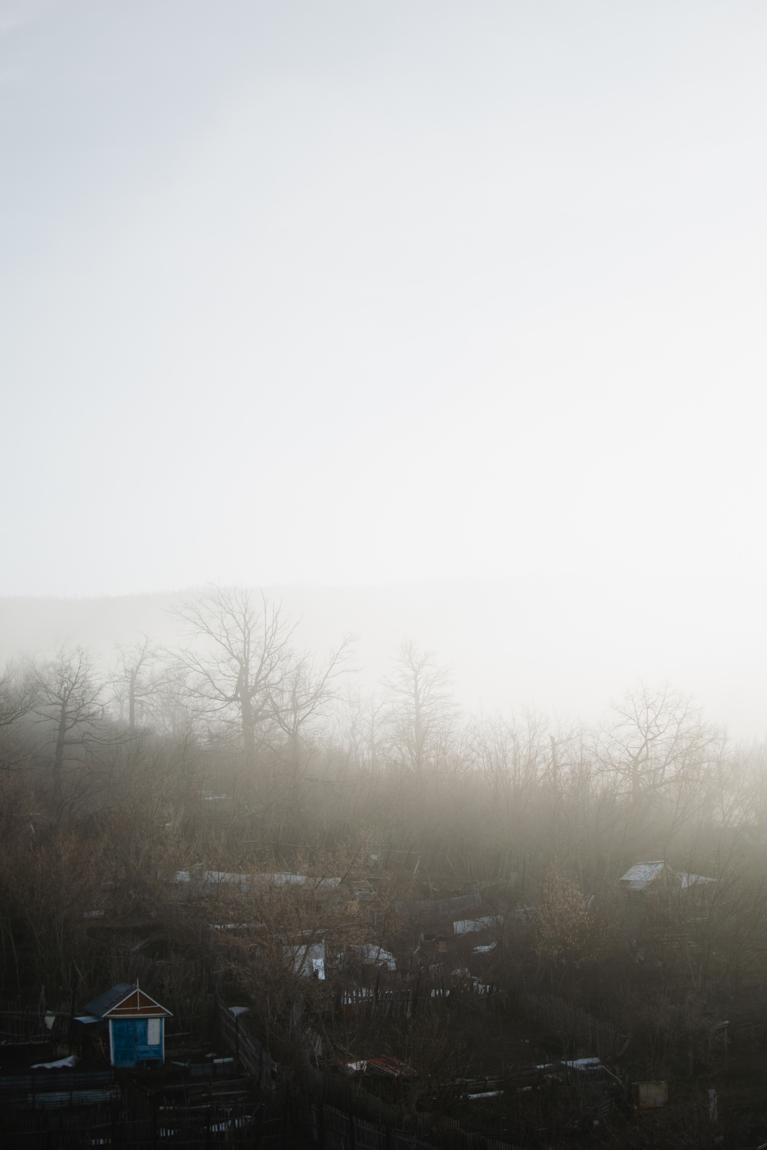 Мир вокруг меня. Фотограф вдохновленной жизнью и природой Надежда Адданикова