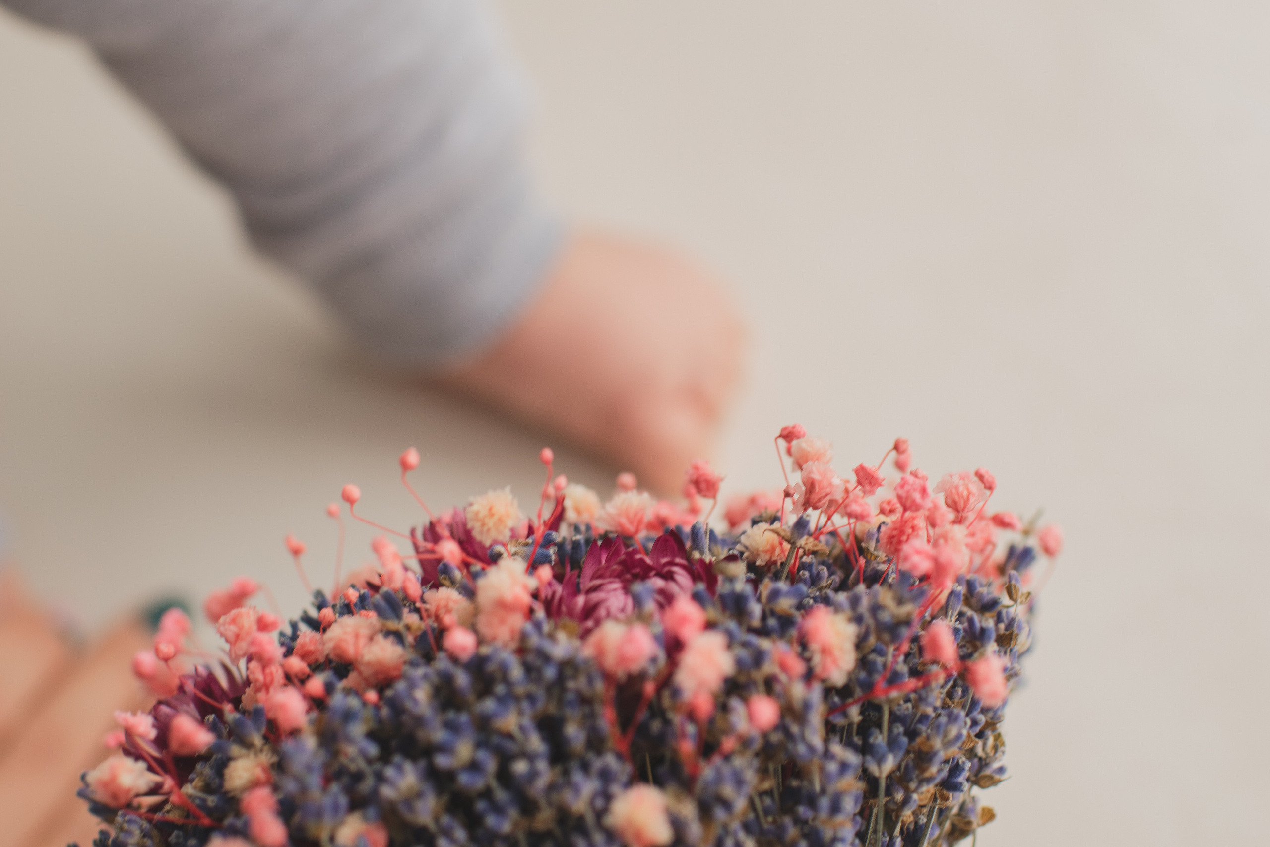 Новая семья. Фотограф вдохновленной жизнью и природой Надежда Адданикова