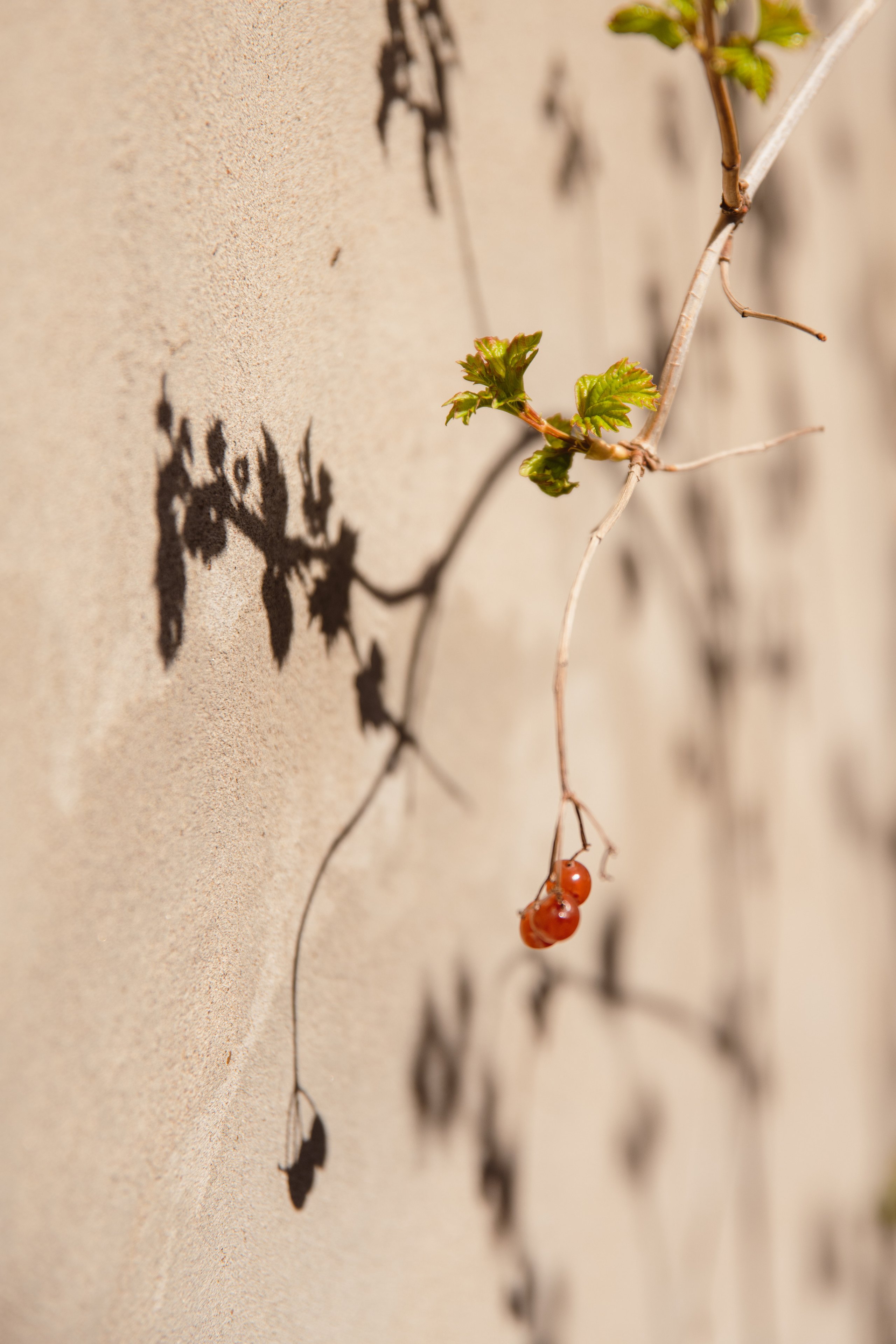 Мир вокруг меня. Фотограф вдохновленной жизнью и природой Надежда Адданикова
