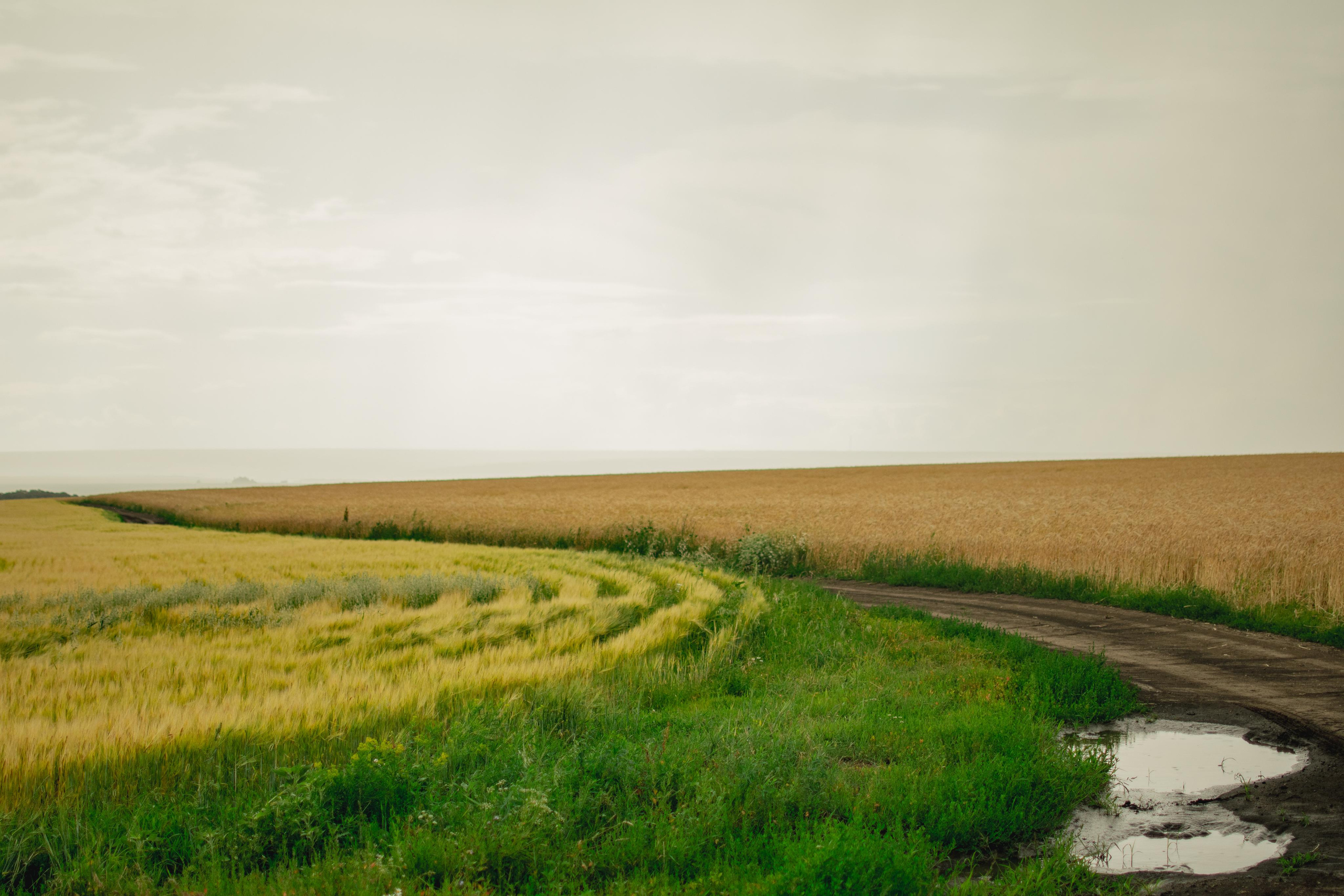 Мир вокруг меня. Фотограф вдохновленной жизнью и природой Надежда Адданикова