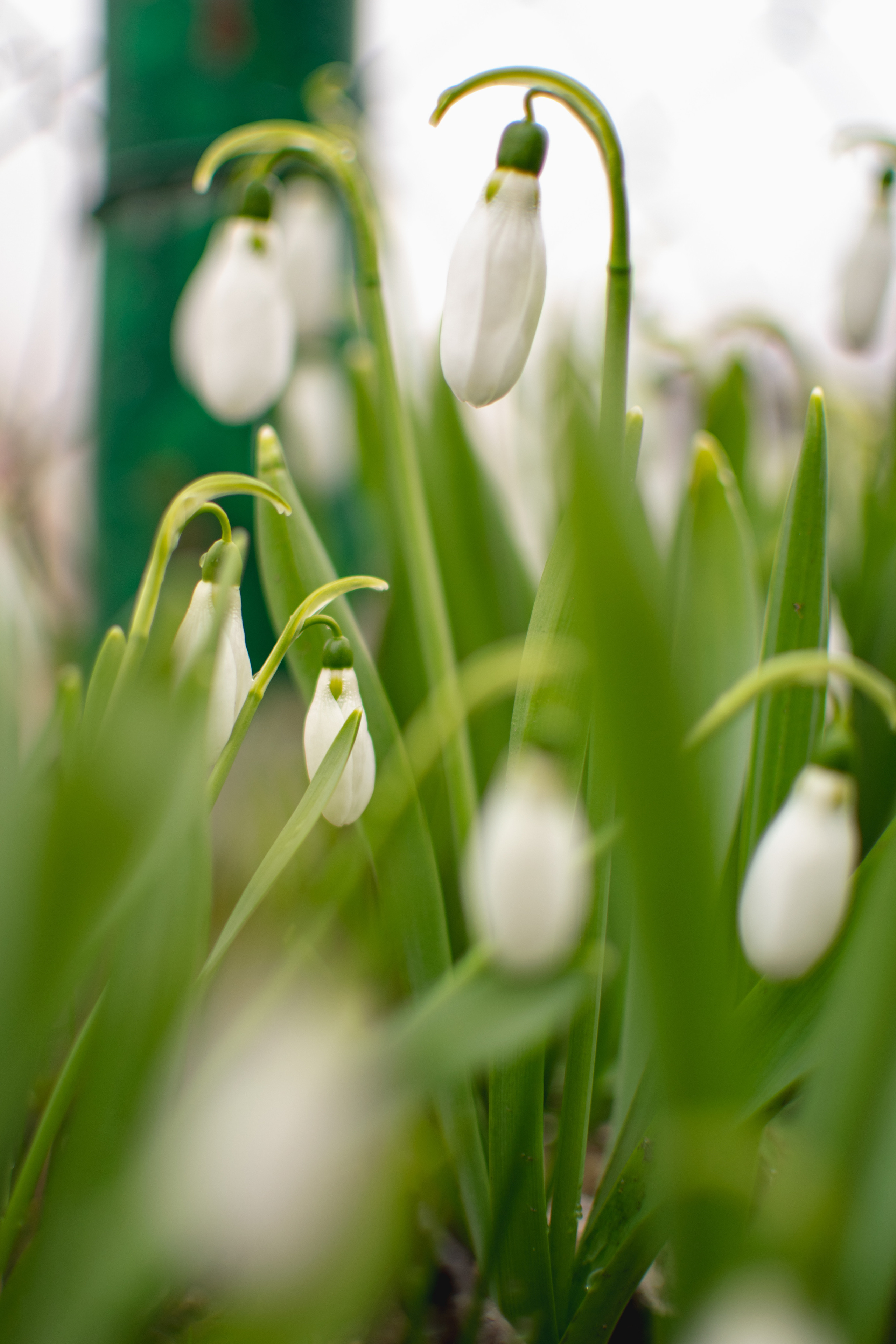 Мир вокруг меня. Фотограф вдохновленной жизнью и природой Надежда Адданикова
