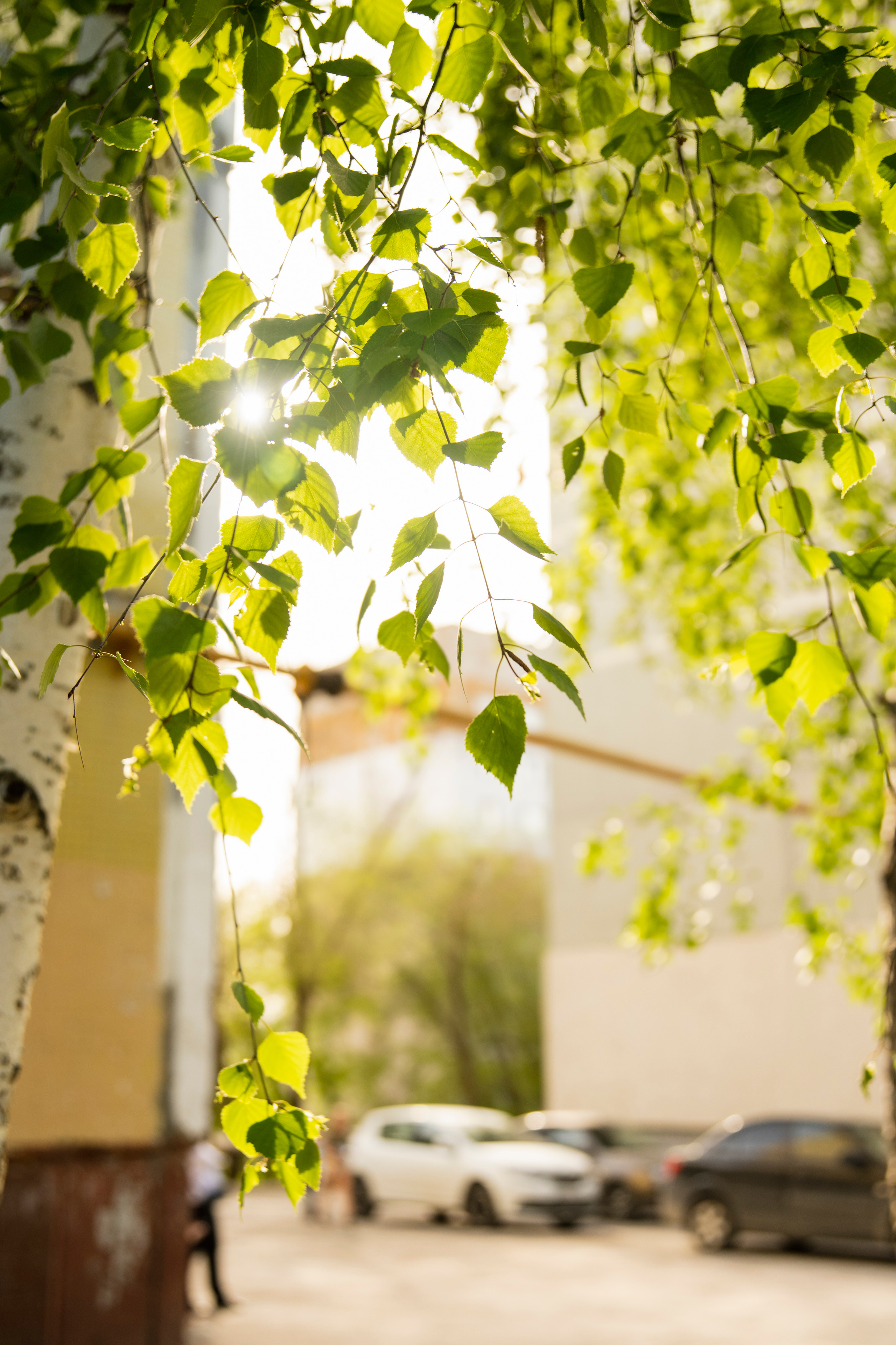 Мир вокруг меня. Фотограф вдохновленной жизнью и природой Надежда Адданикова