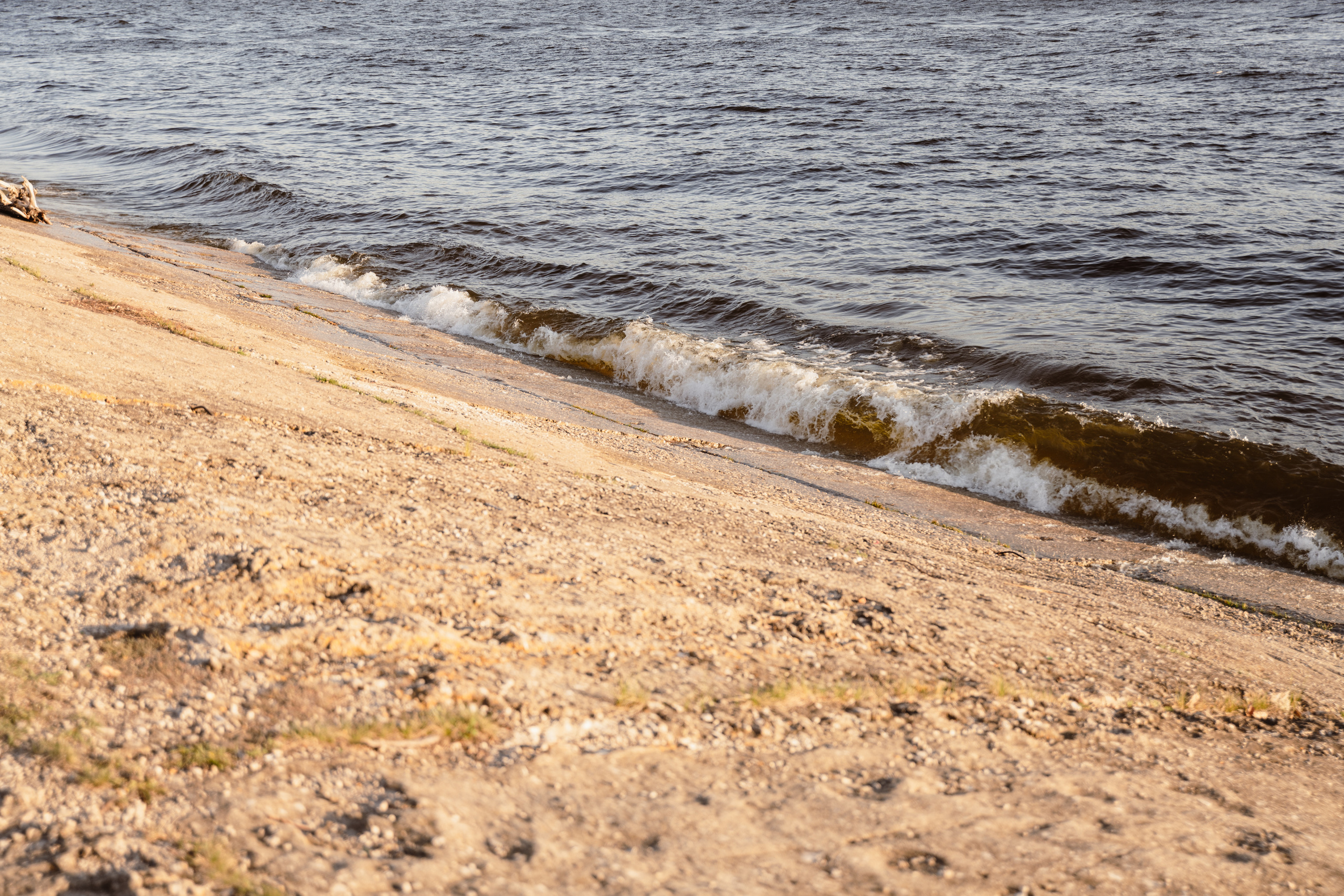 Мир вокруг меня. Фотограф вдохновленной жизнью и природой Надежда Адданикова