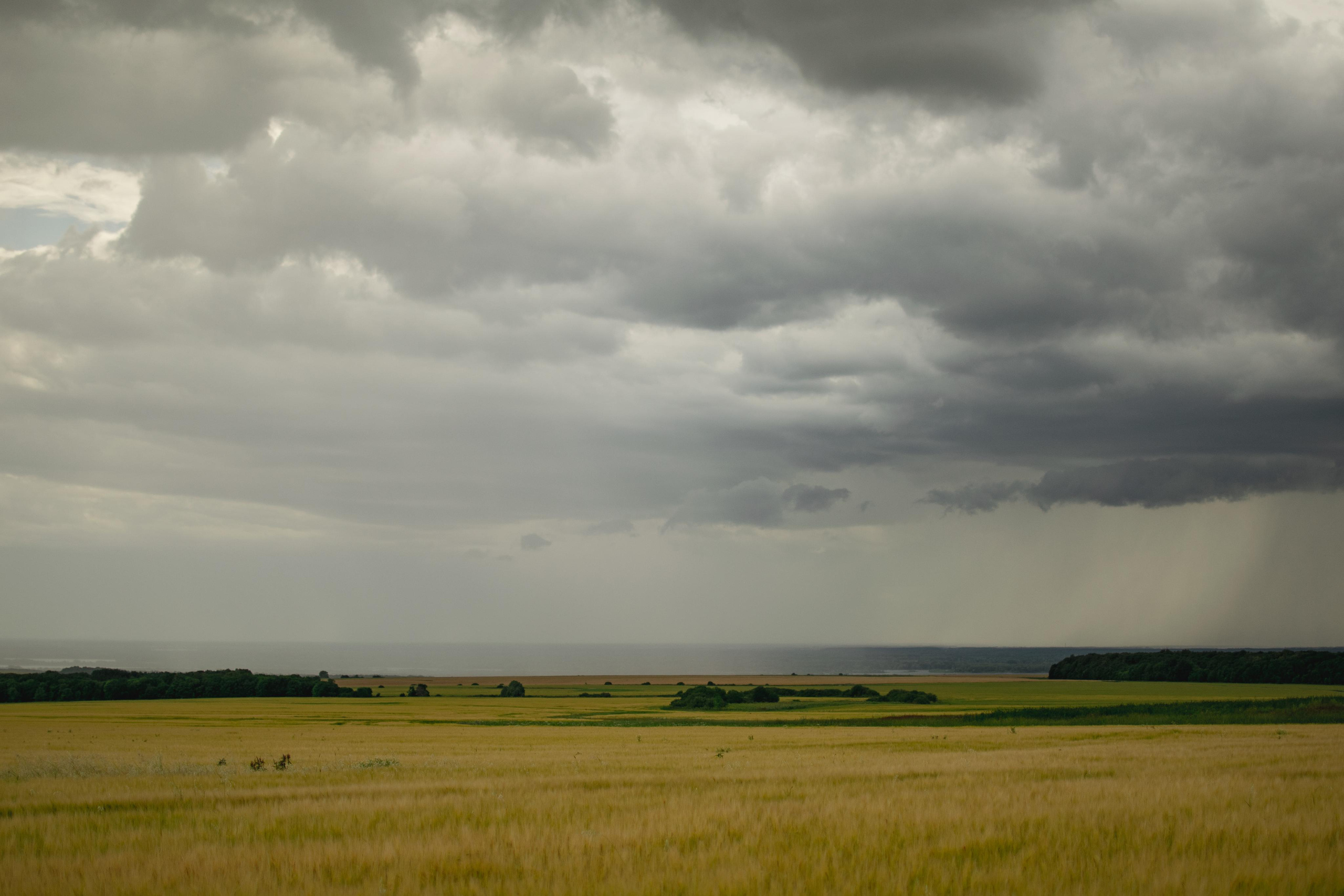 Мир вокруг меня. Фотограф вдохновленной жизнью и природой Надежда Адданикова