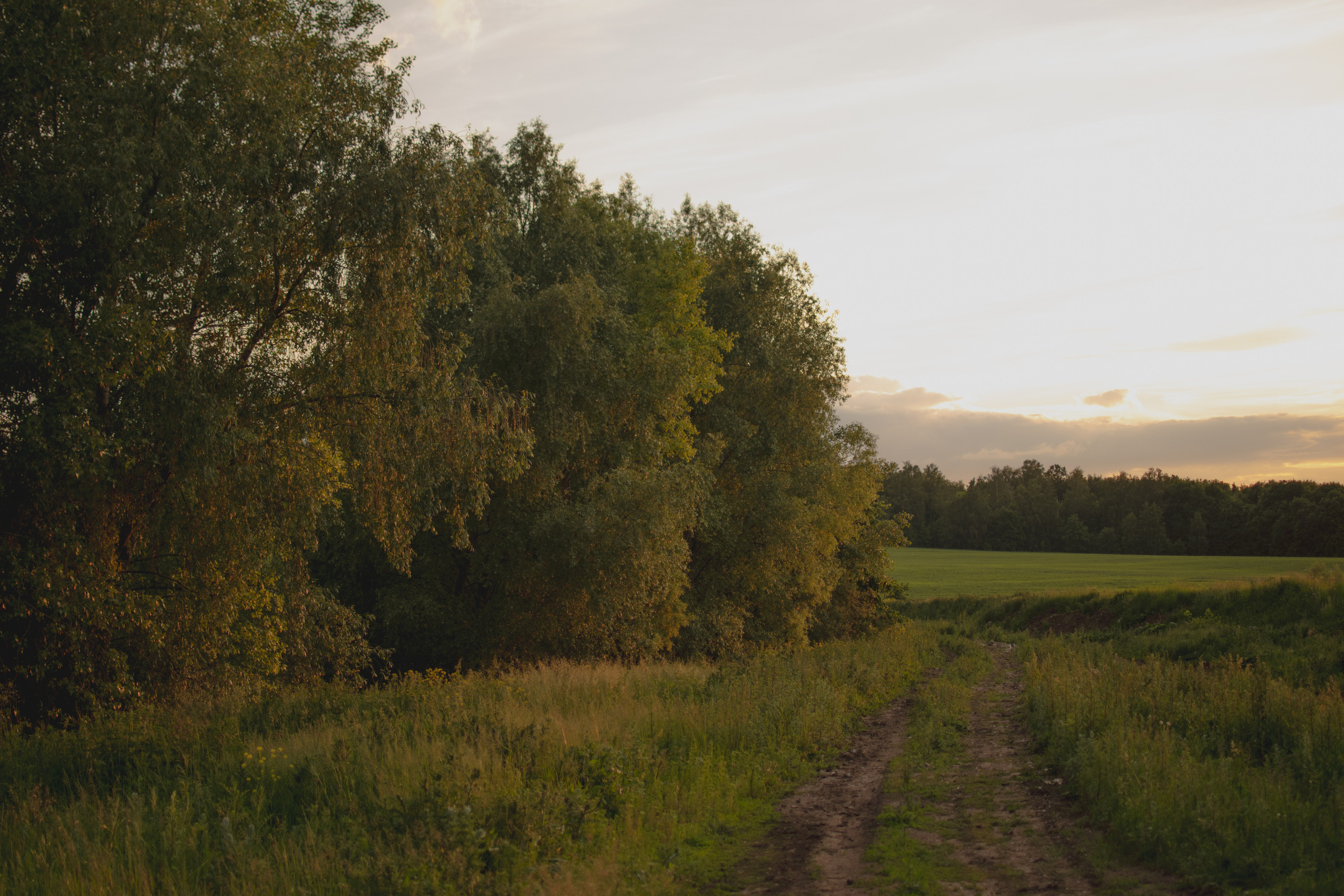 Мир вокруг меня. Фотограф вдохновленной жизнью и природой Надежда Адданикова