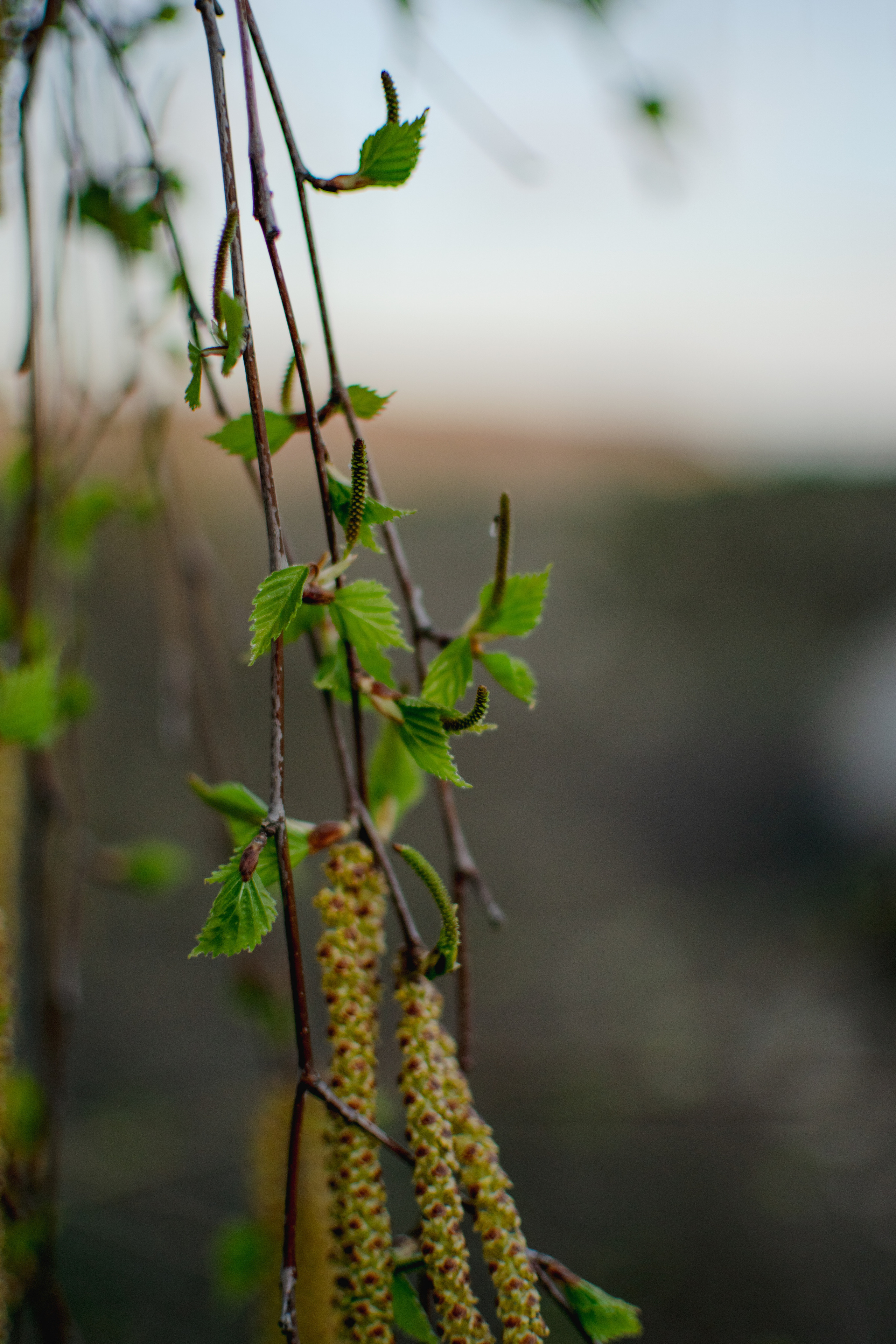 Мир вокруг меня. Фотограф вдохновленной жизнью и природой Надежда Адданикова