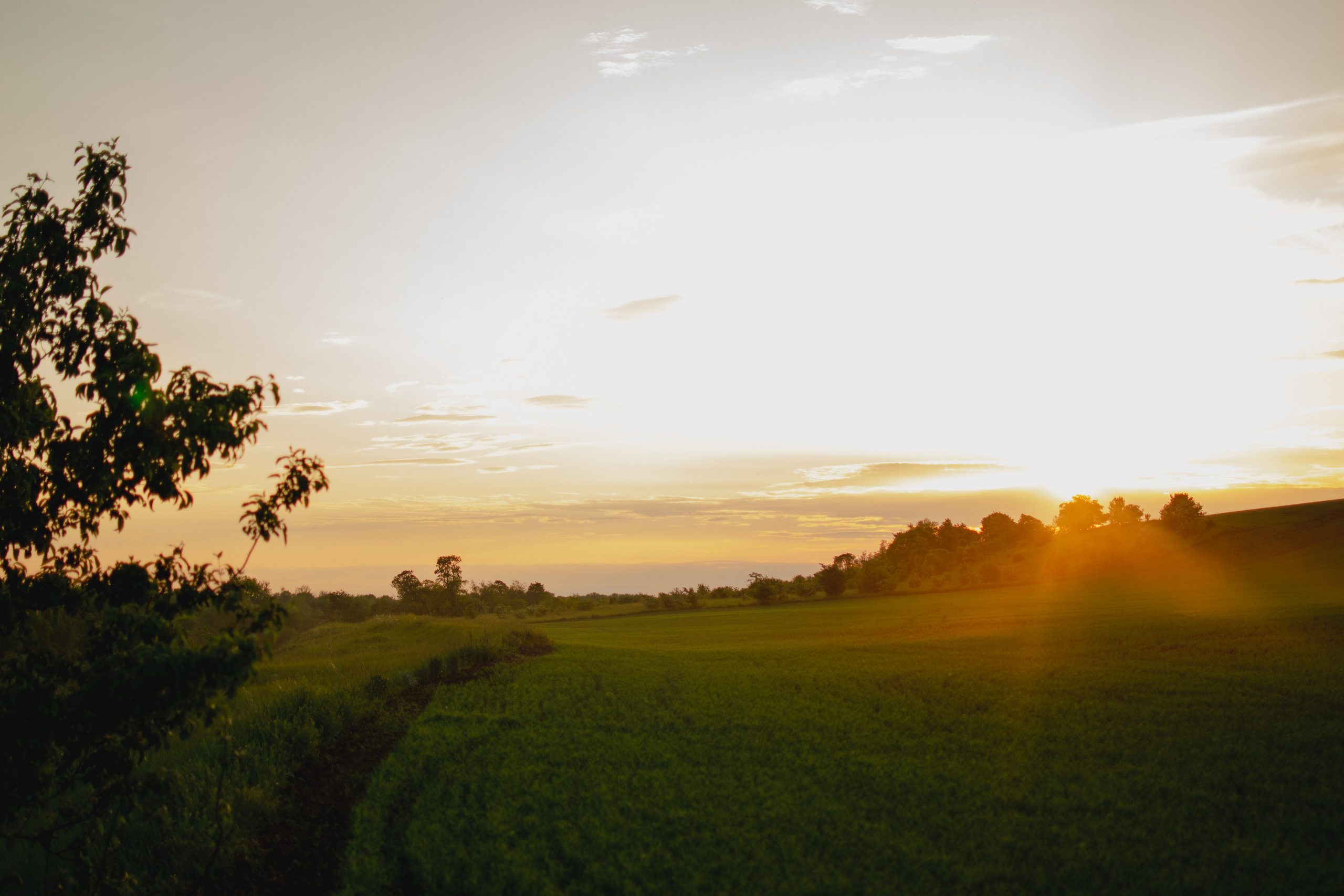 Мир вокруг меня. Фотограф вдохновленной жизнью и природой Надежда Адданикова