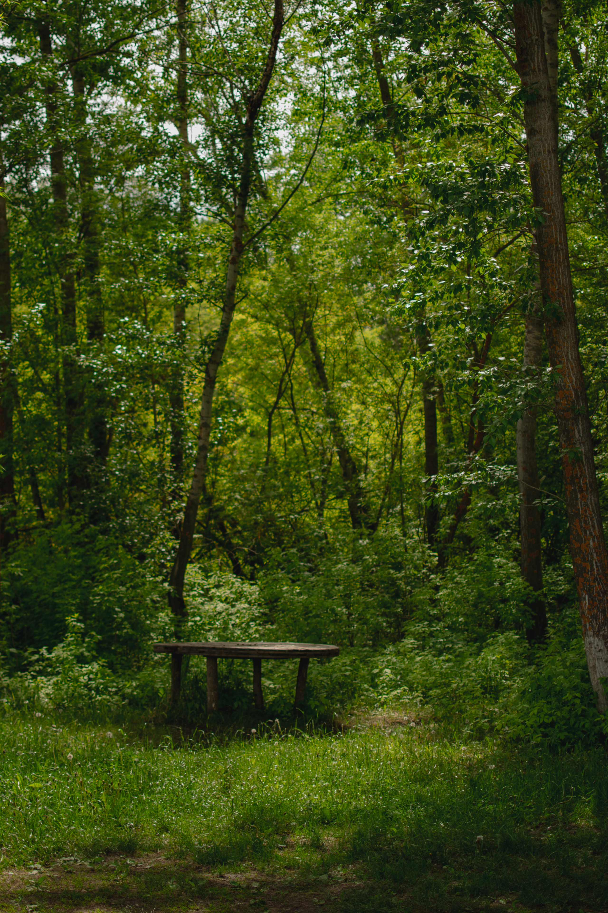 Мир вокруг меня. Фотограф вдохновленной жизнью и природой Надежда Адданикова