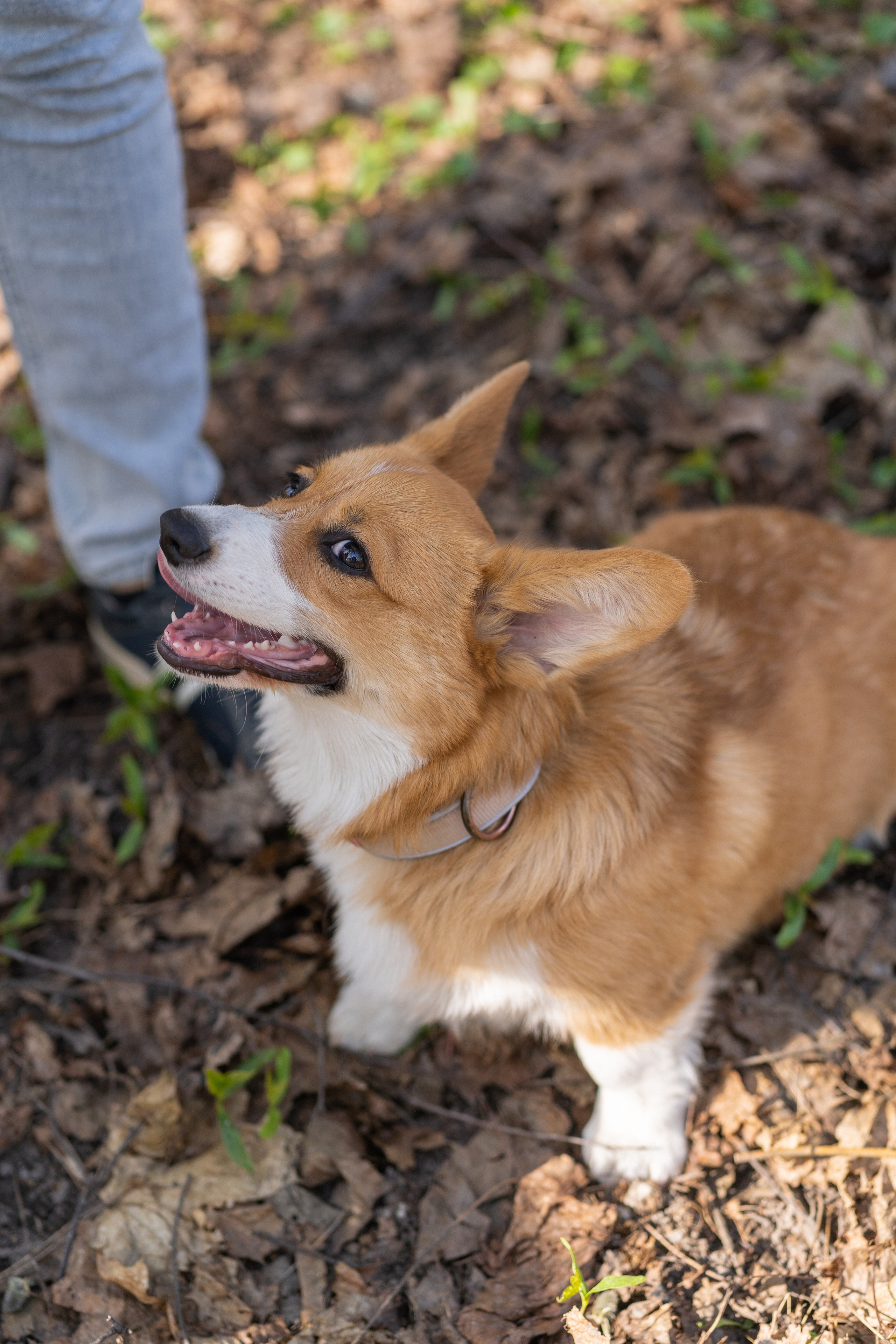 Саша, Настя, Луна. Свадебный фотограф в Москве Анна Полушина
