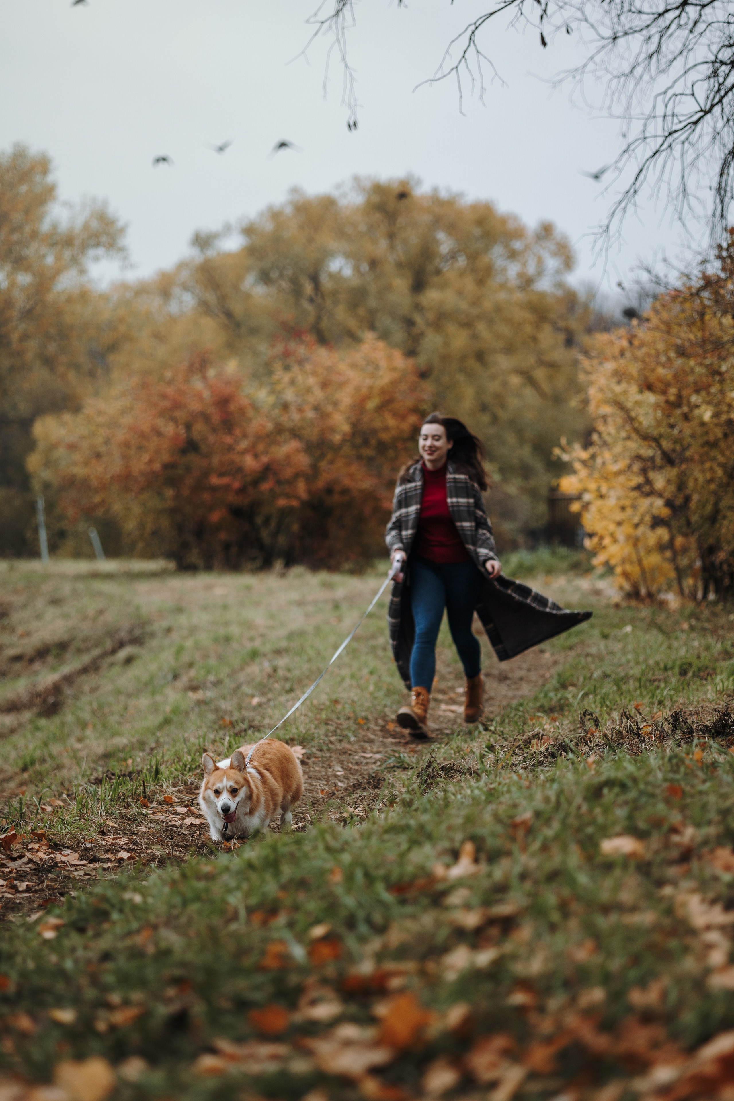 Юля и Терри. Фотограф — Анималист | Санкт-Петербург